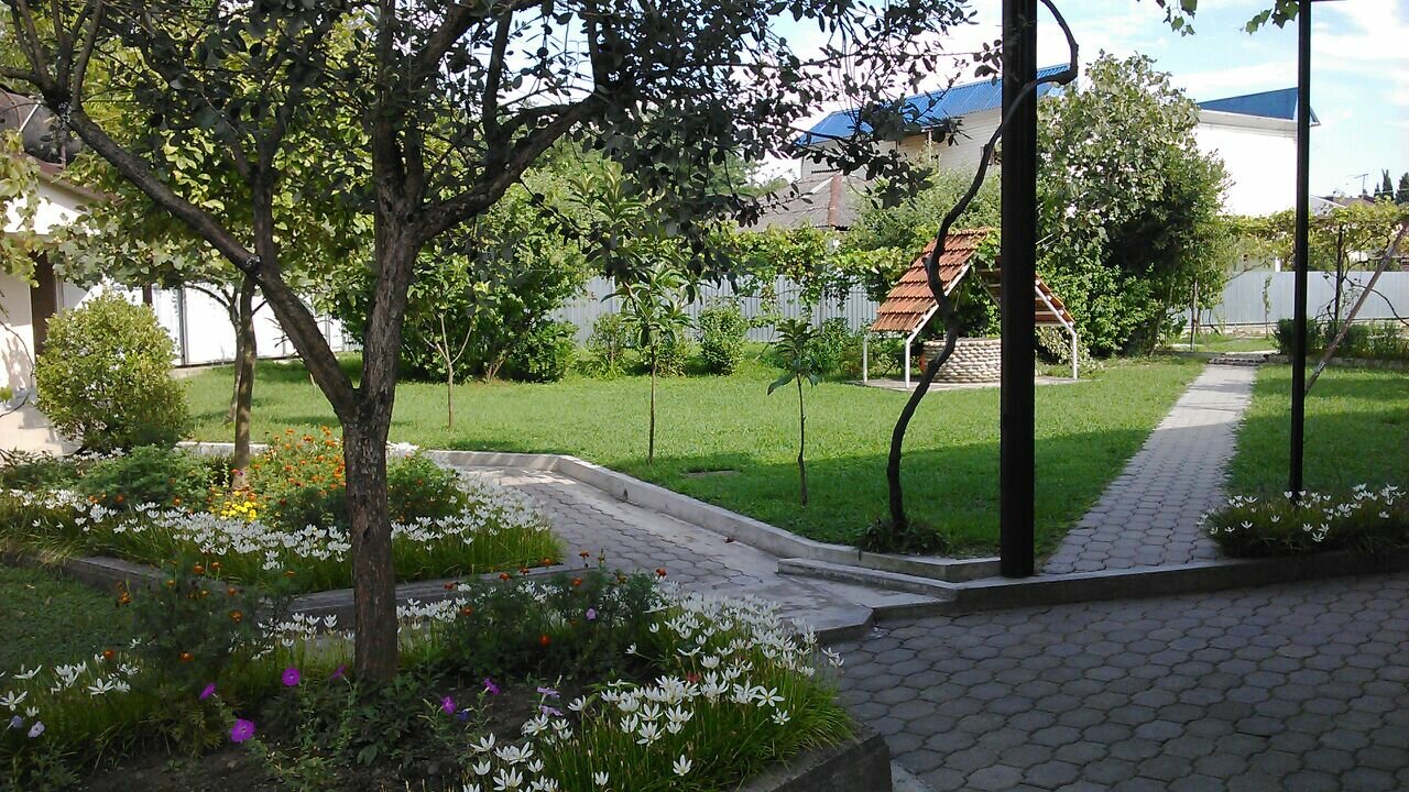 Фото Салангана