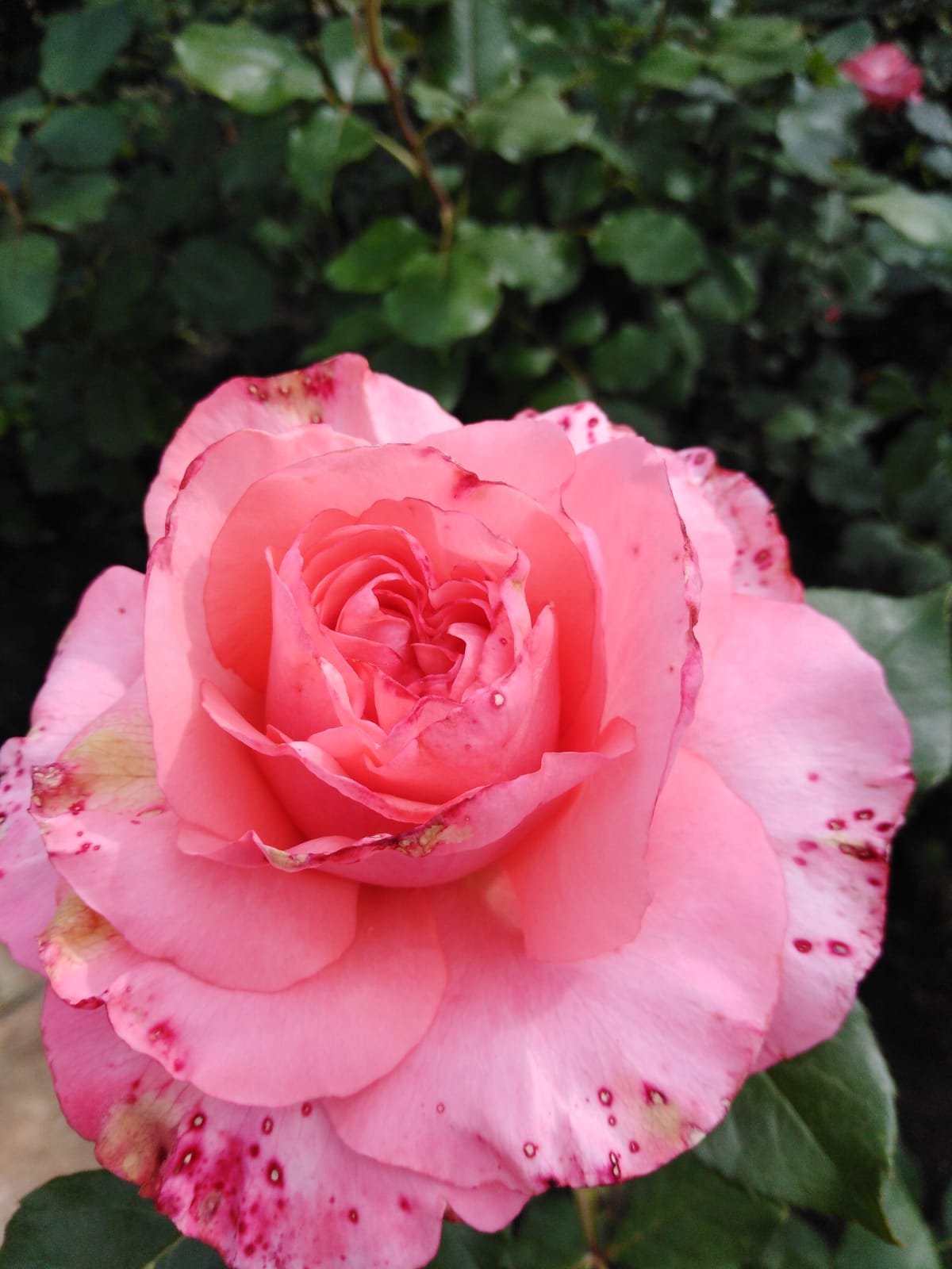 Фото Уютная