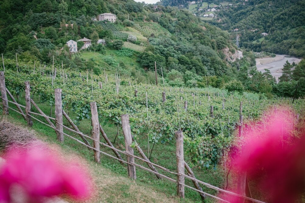 Фото Chateau Iveri