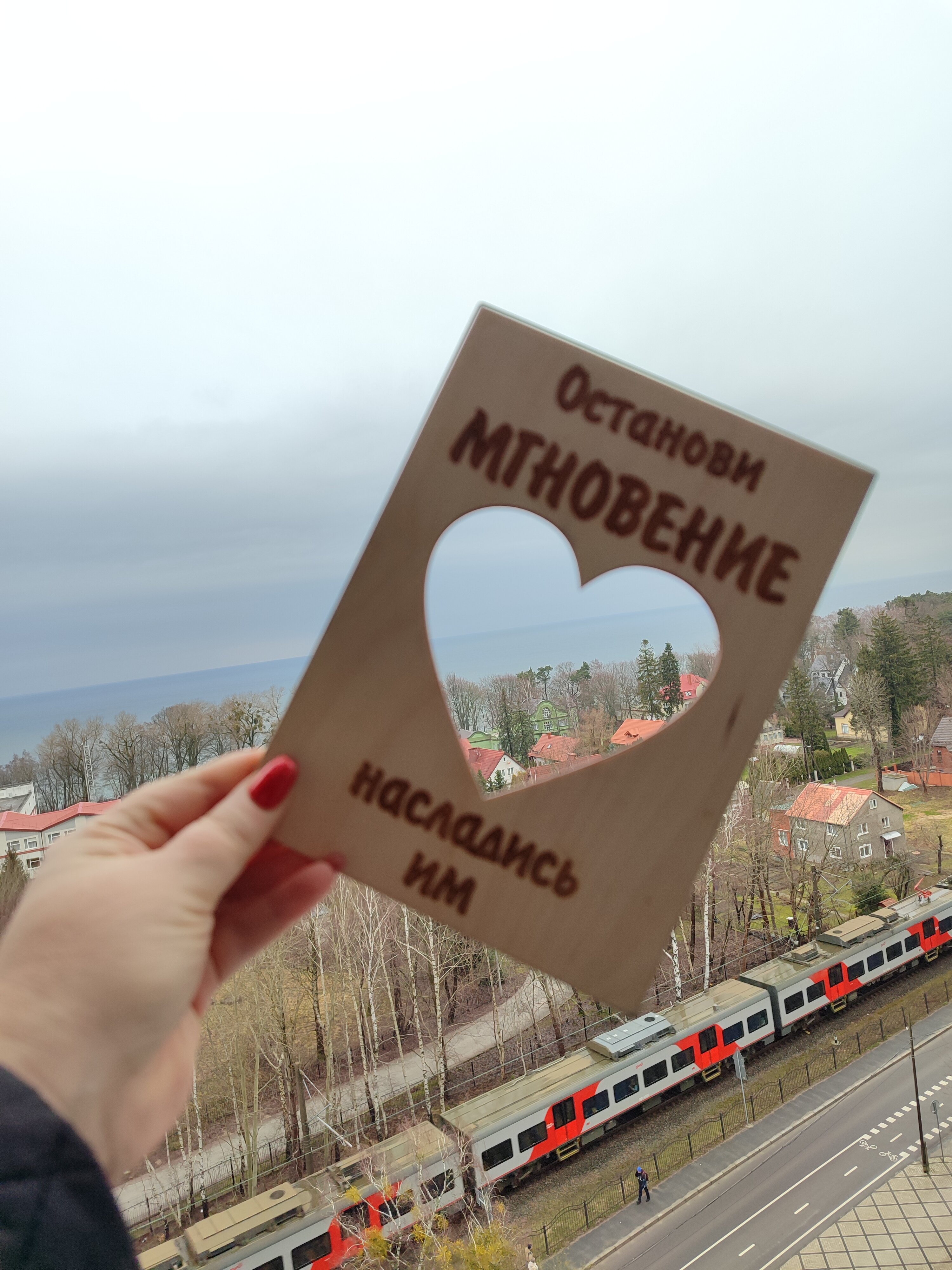 Фото Холидей Светлогорск