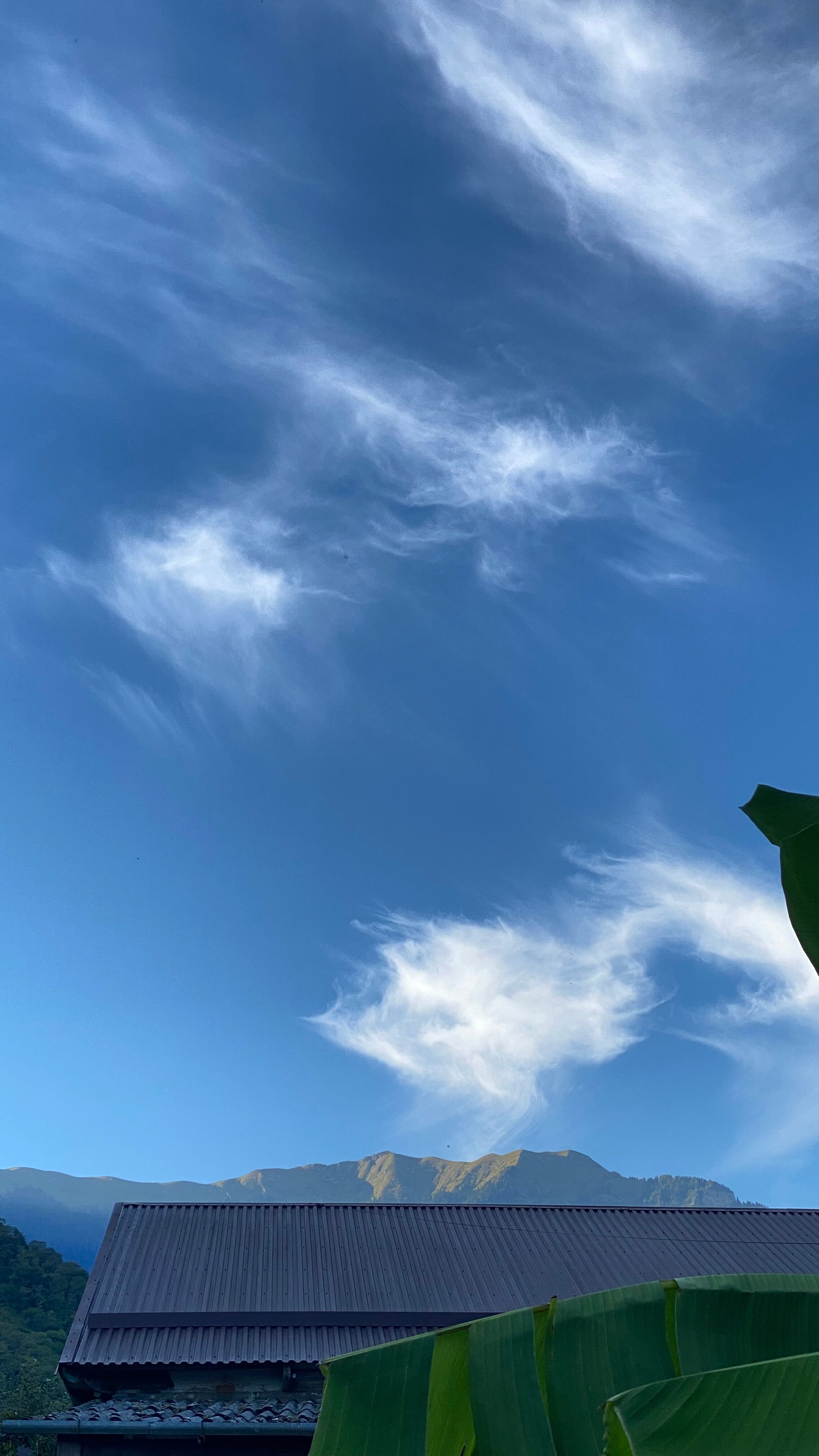 Фото Домик в деревне