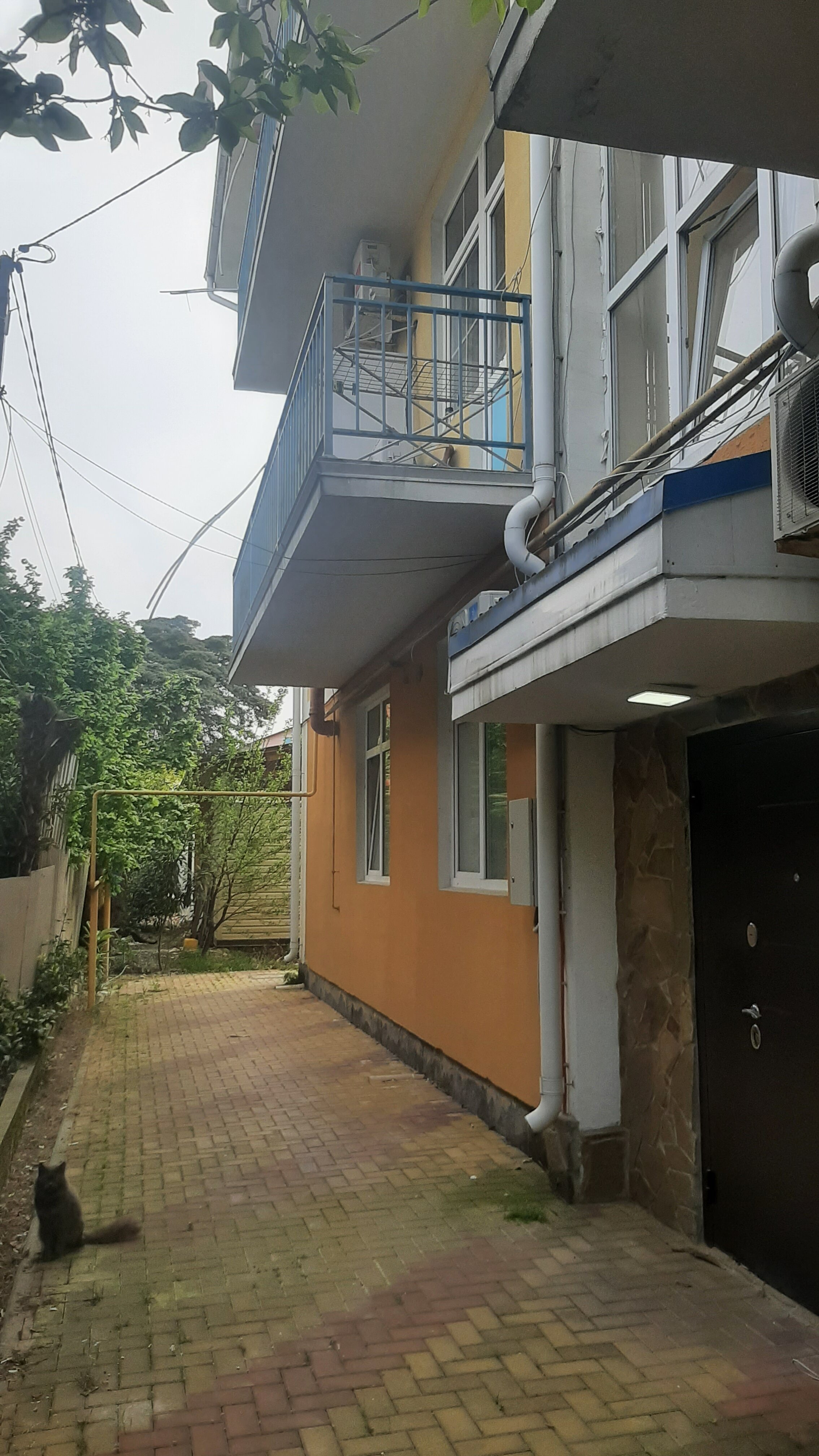 Фото Гринго