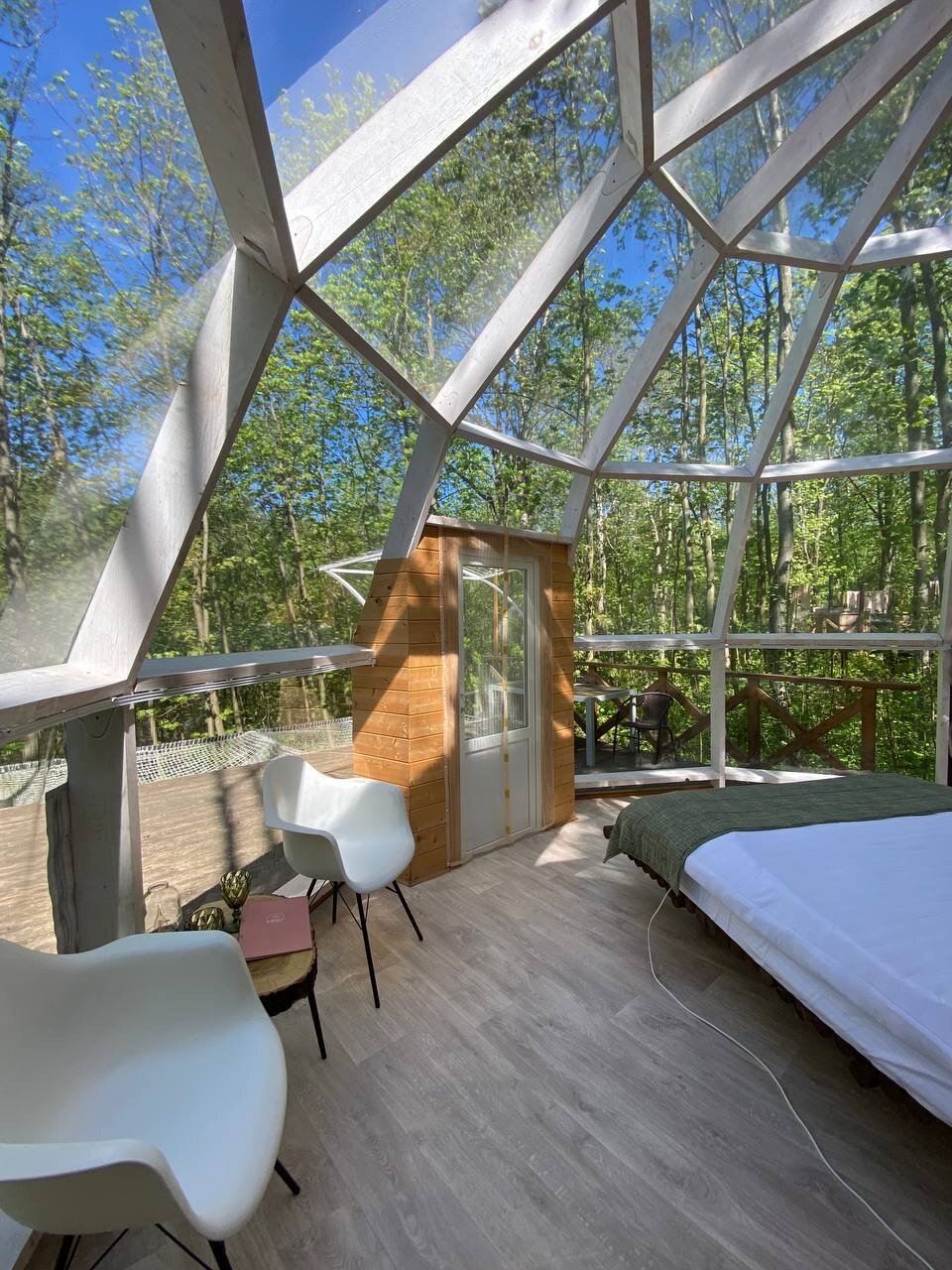 Фото Клевер