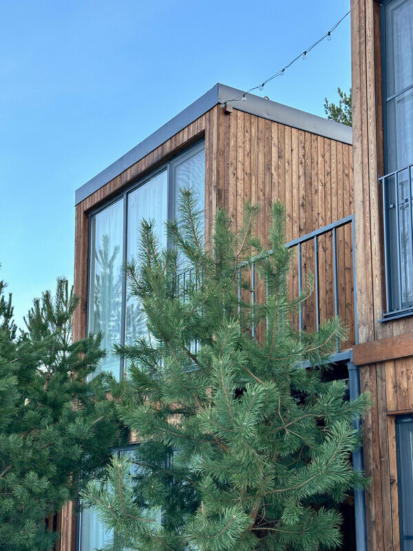 Фото Ёlki Лебяжье