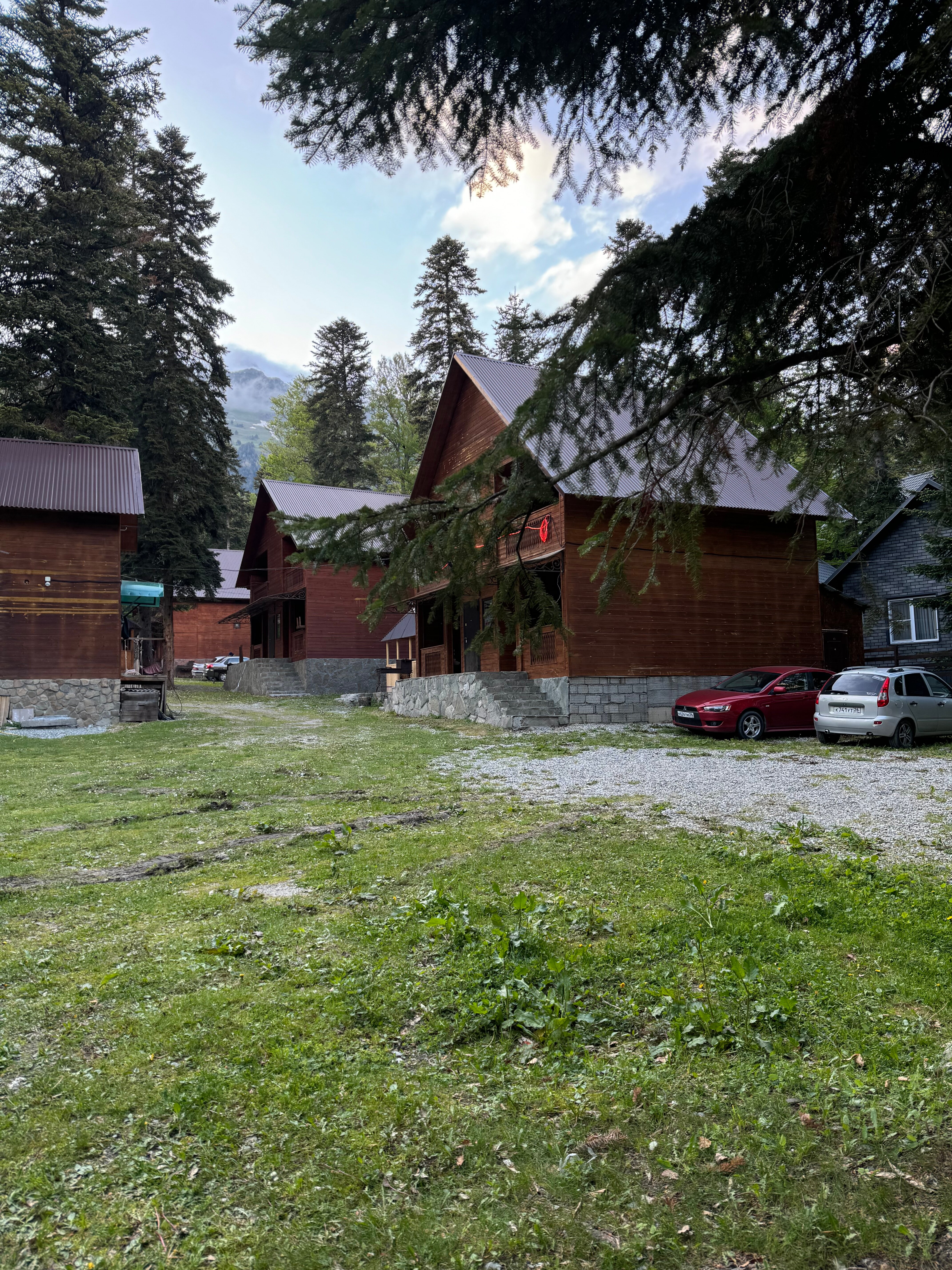 Фото Forest Yard