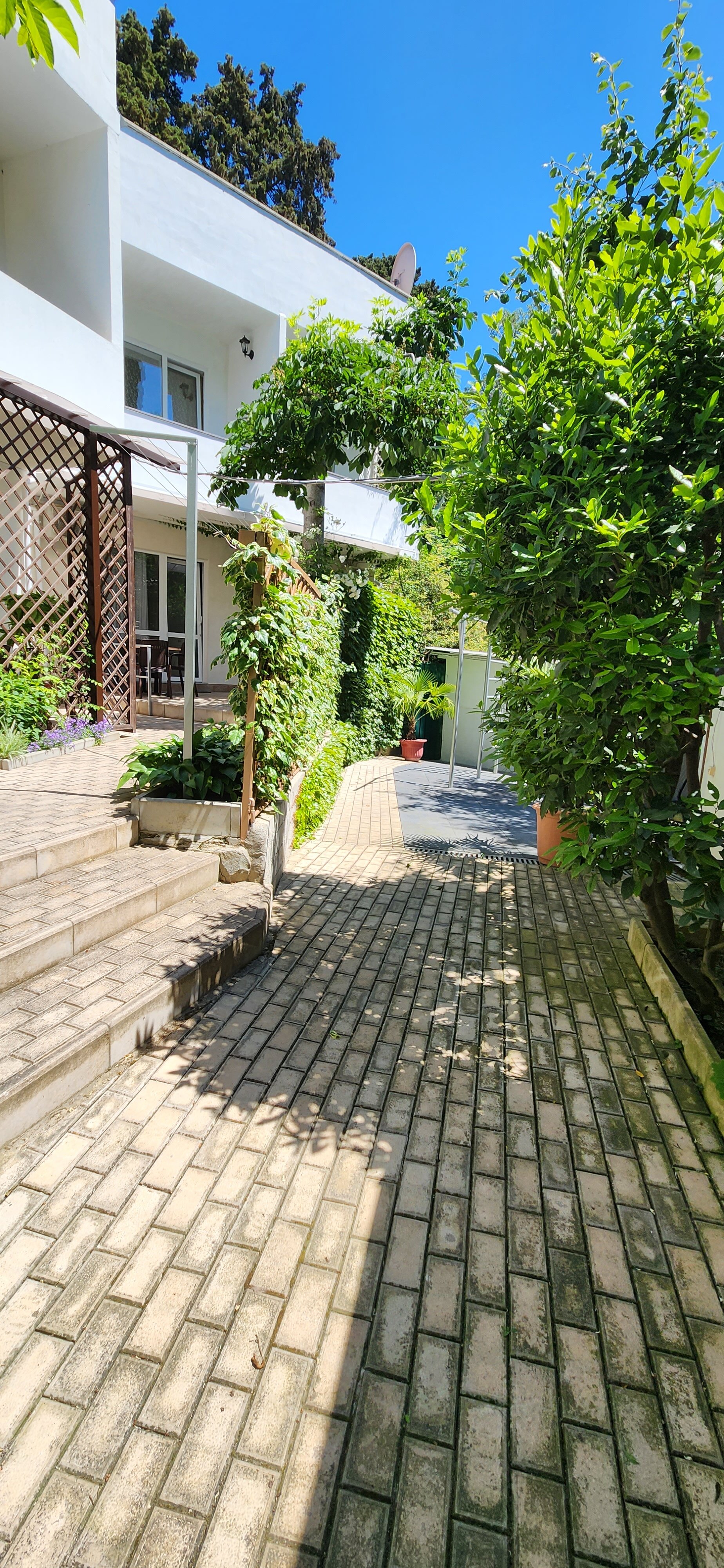 Фото Лаванда на Глазкрицкого