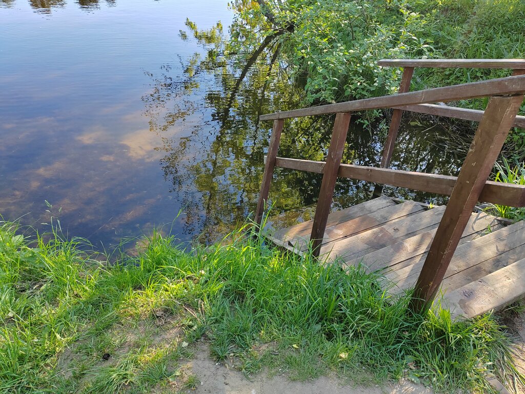 Urban forest Serebryany Bor Nature Monument, Moscow, photo