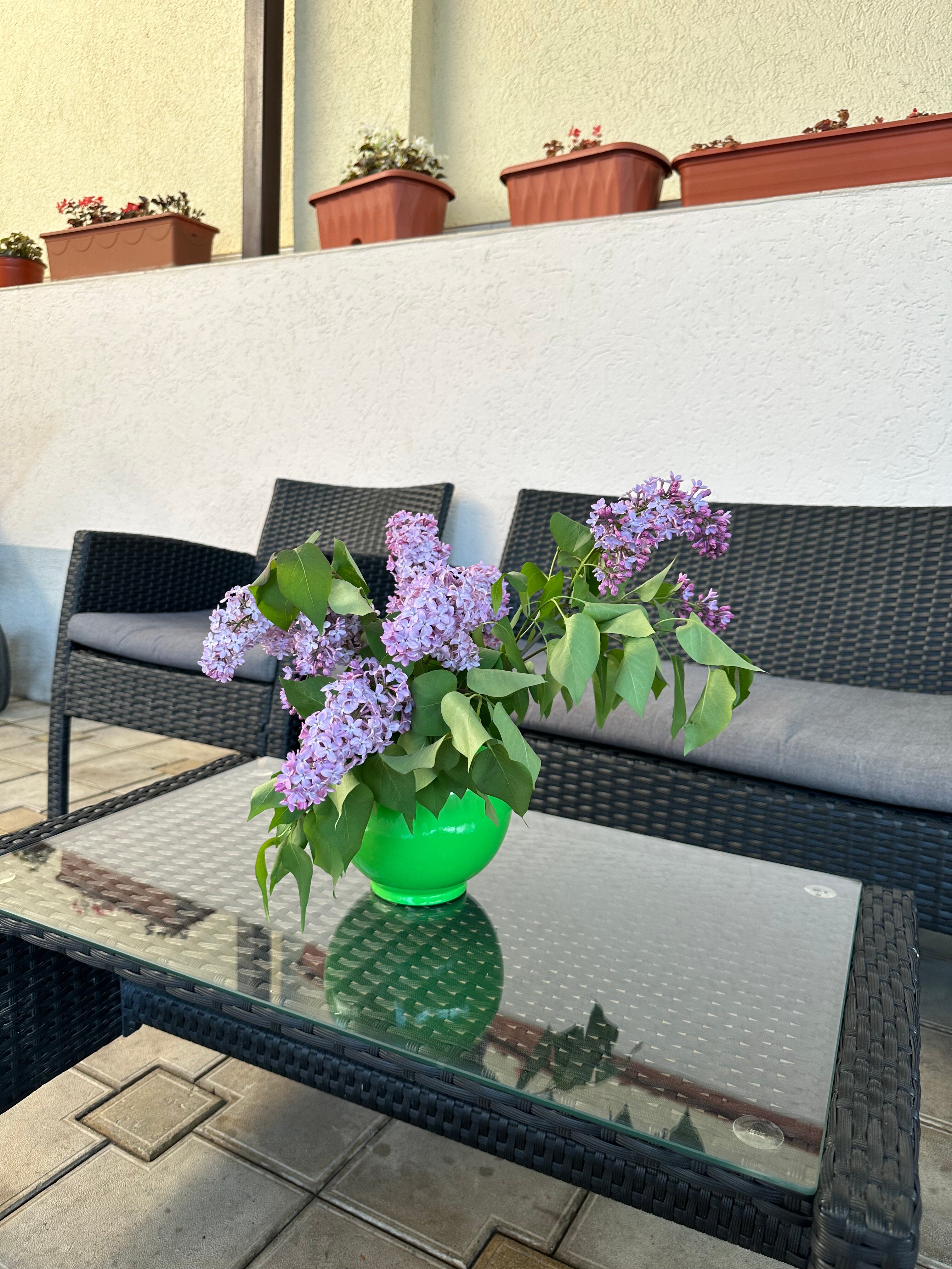 Фото Марийка