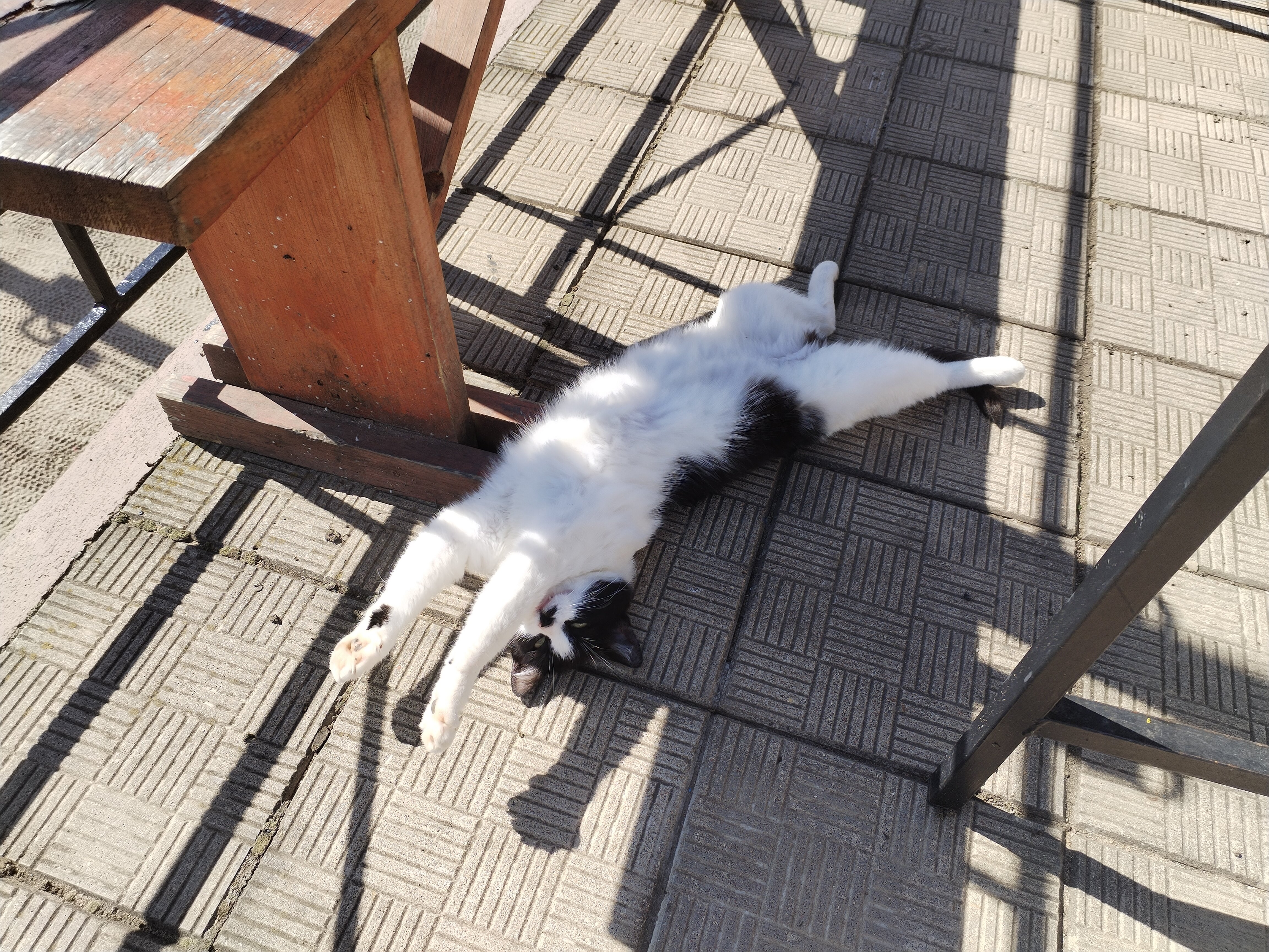 Фото Рутавечь