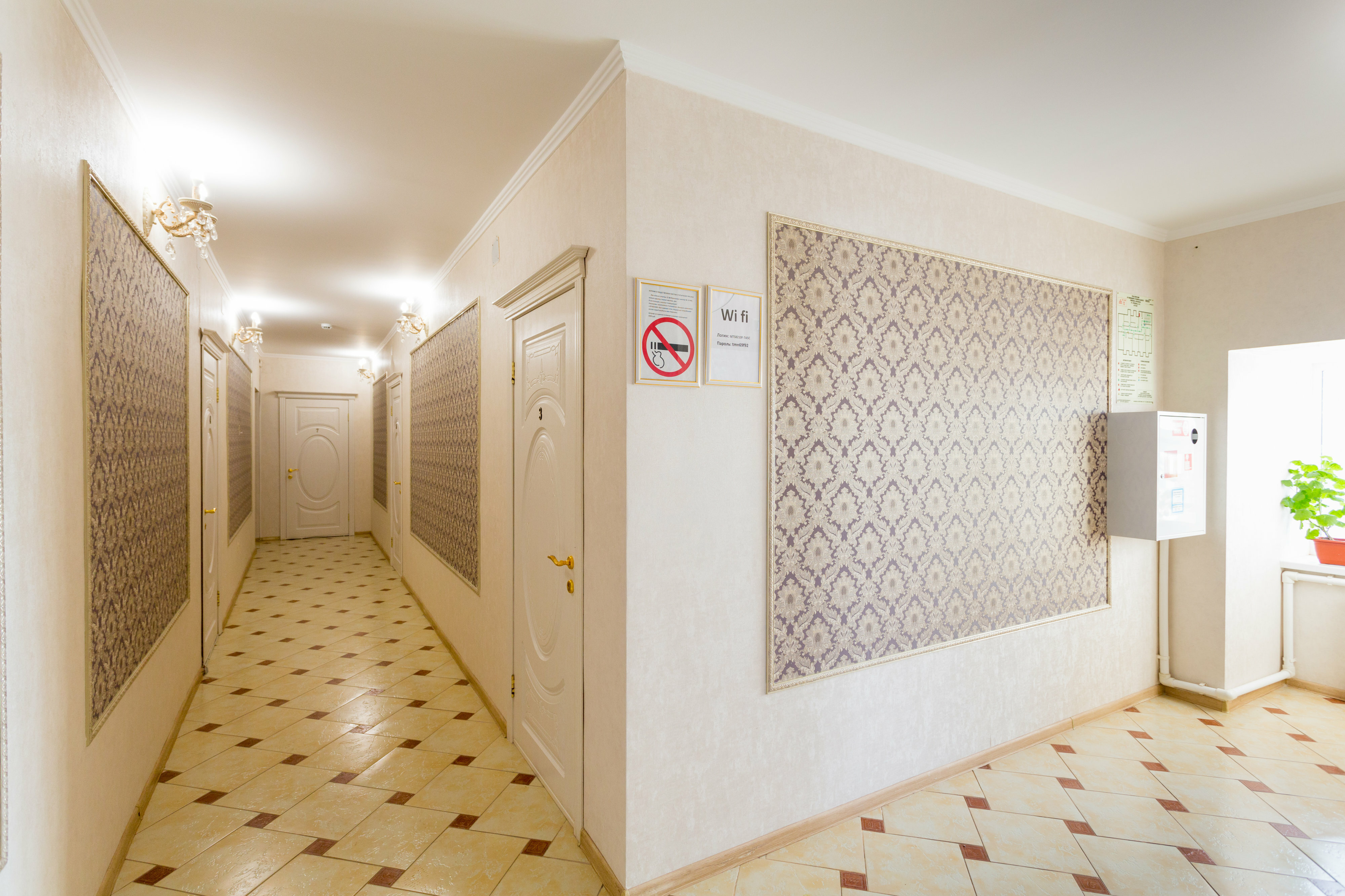 Фото Лечебная