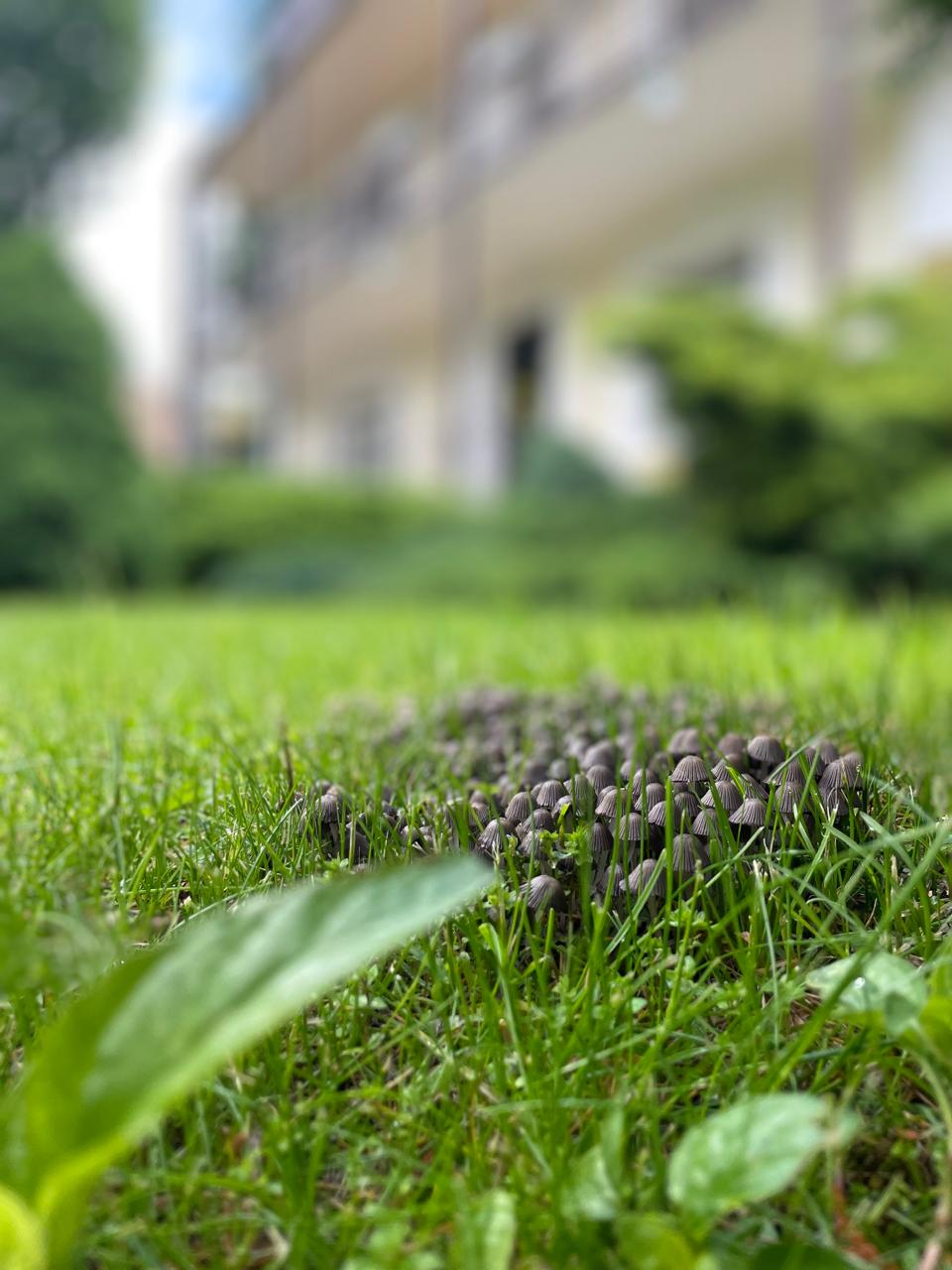 Фото Белая дача