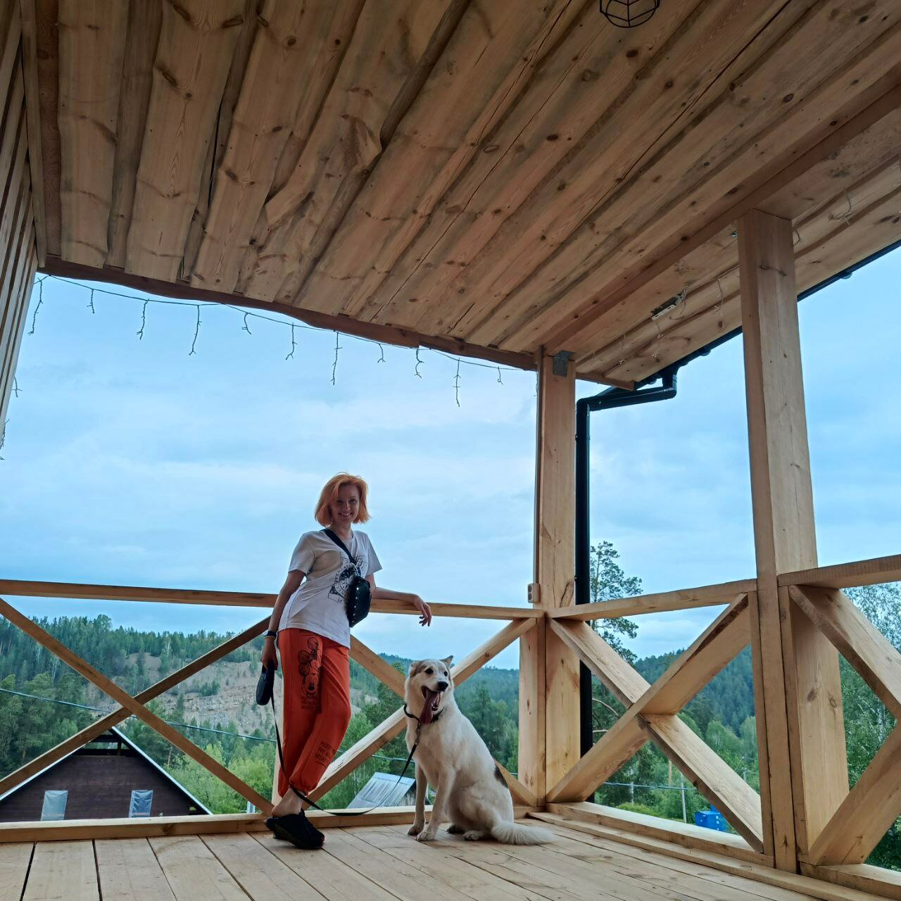 Фото Лавина