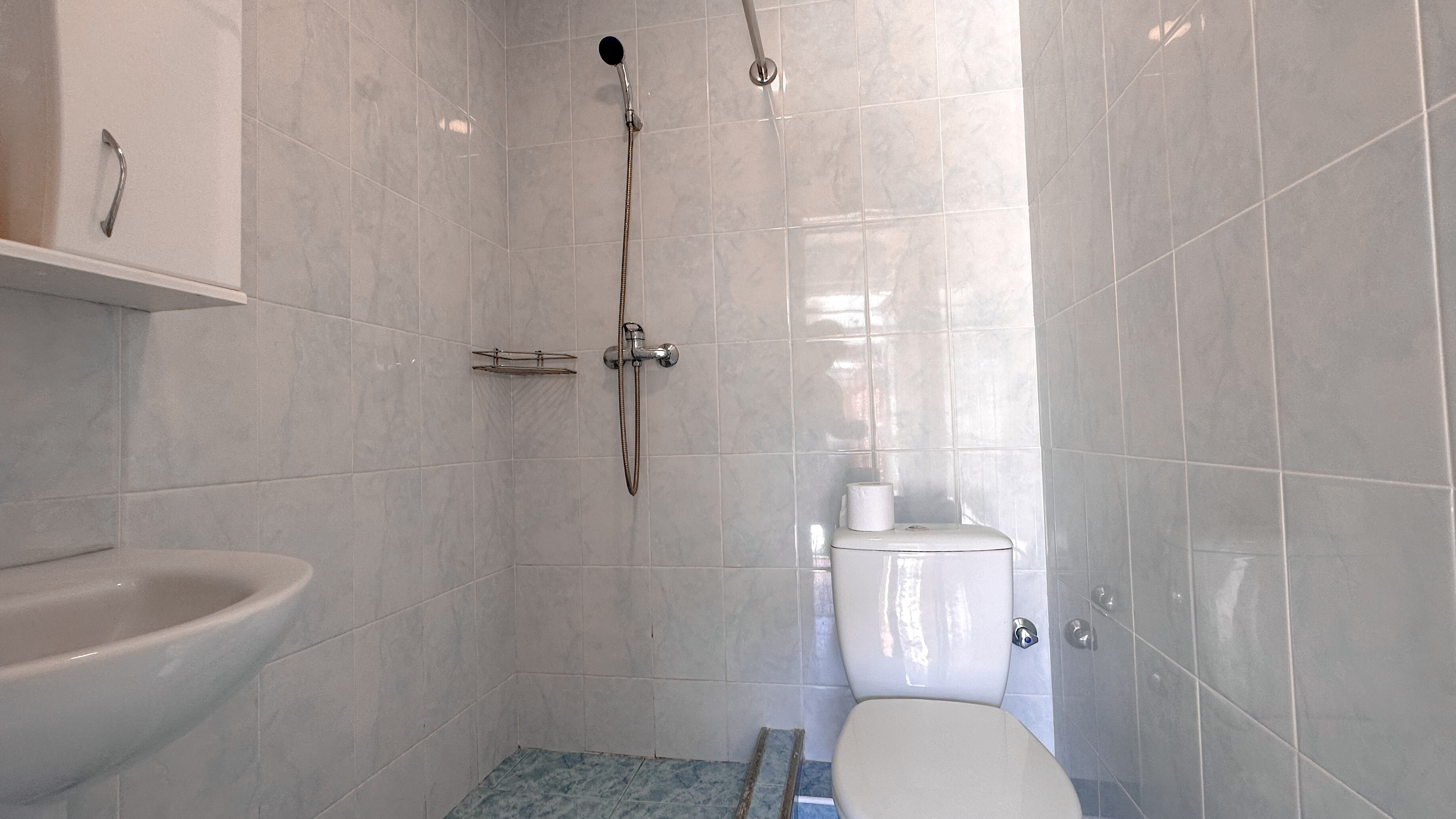 Фото Дельфиния