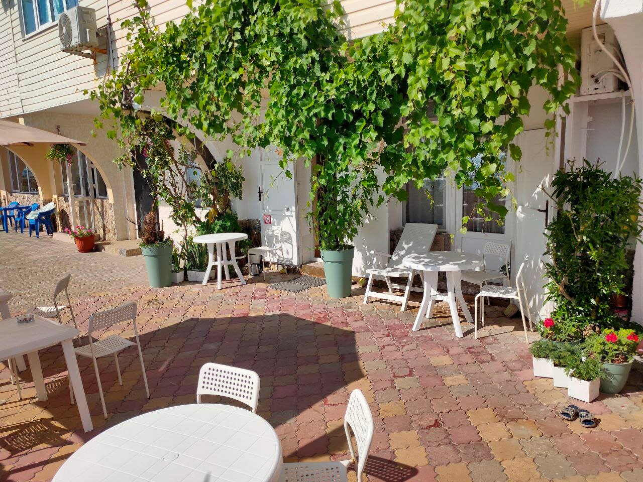 Фото Солнечный