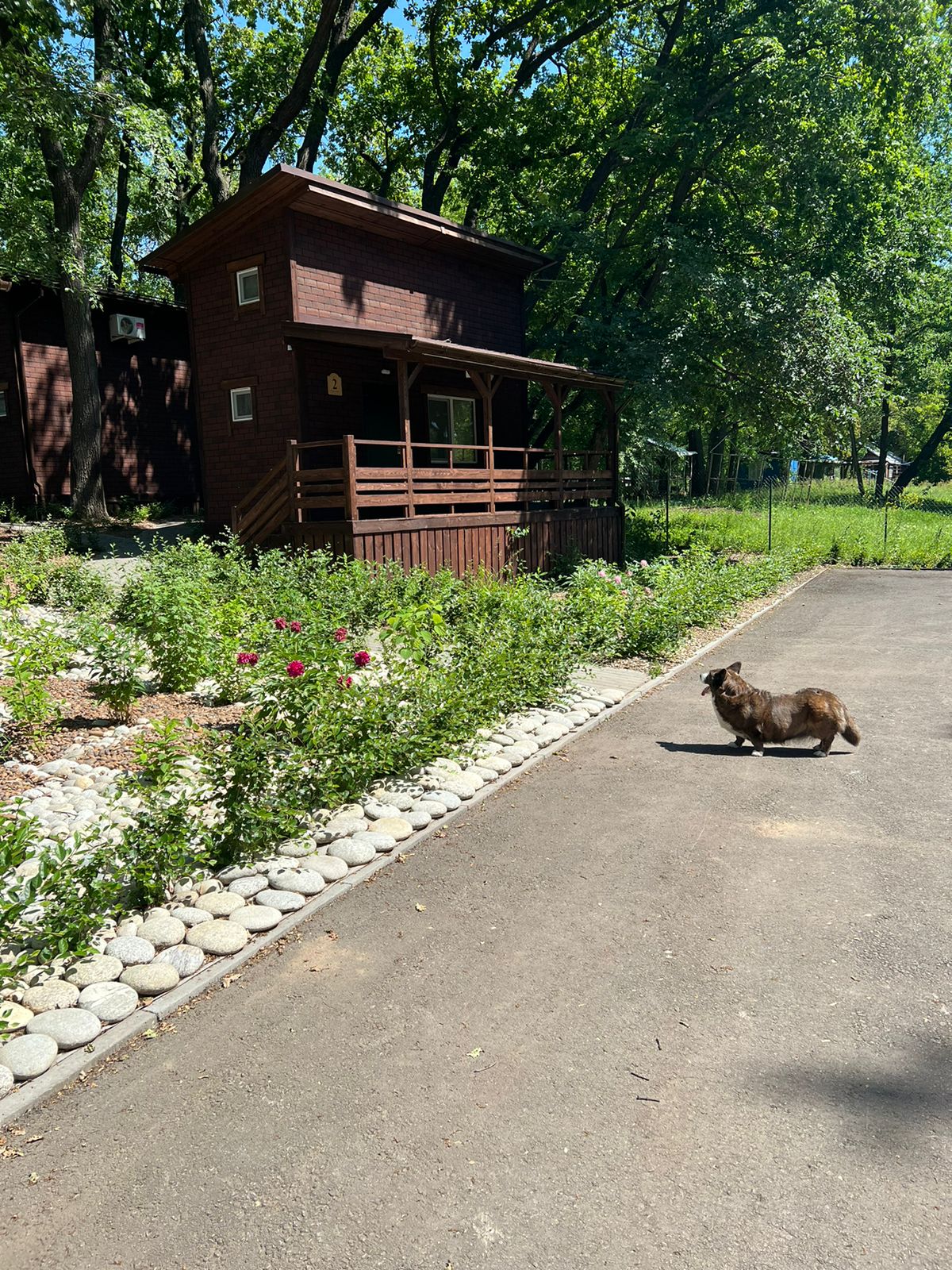 Фото Рассвет