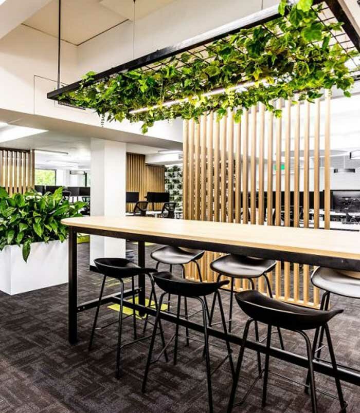 Construction and finishing works Lions Pro Technical Services, Dubai, photo