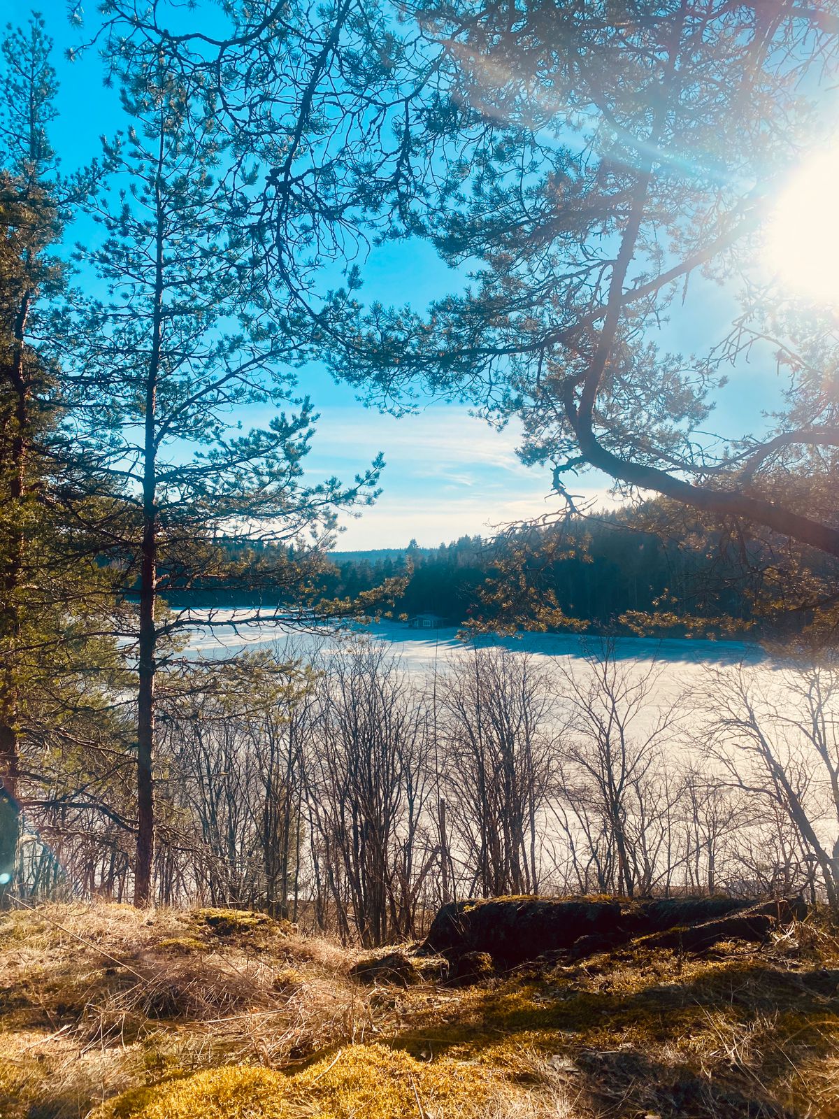 Фото Домик в деревне