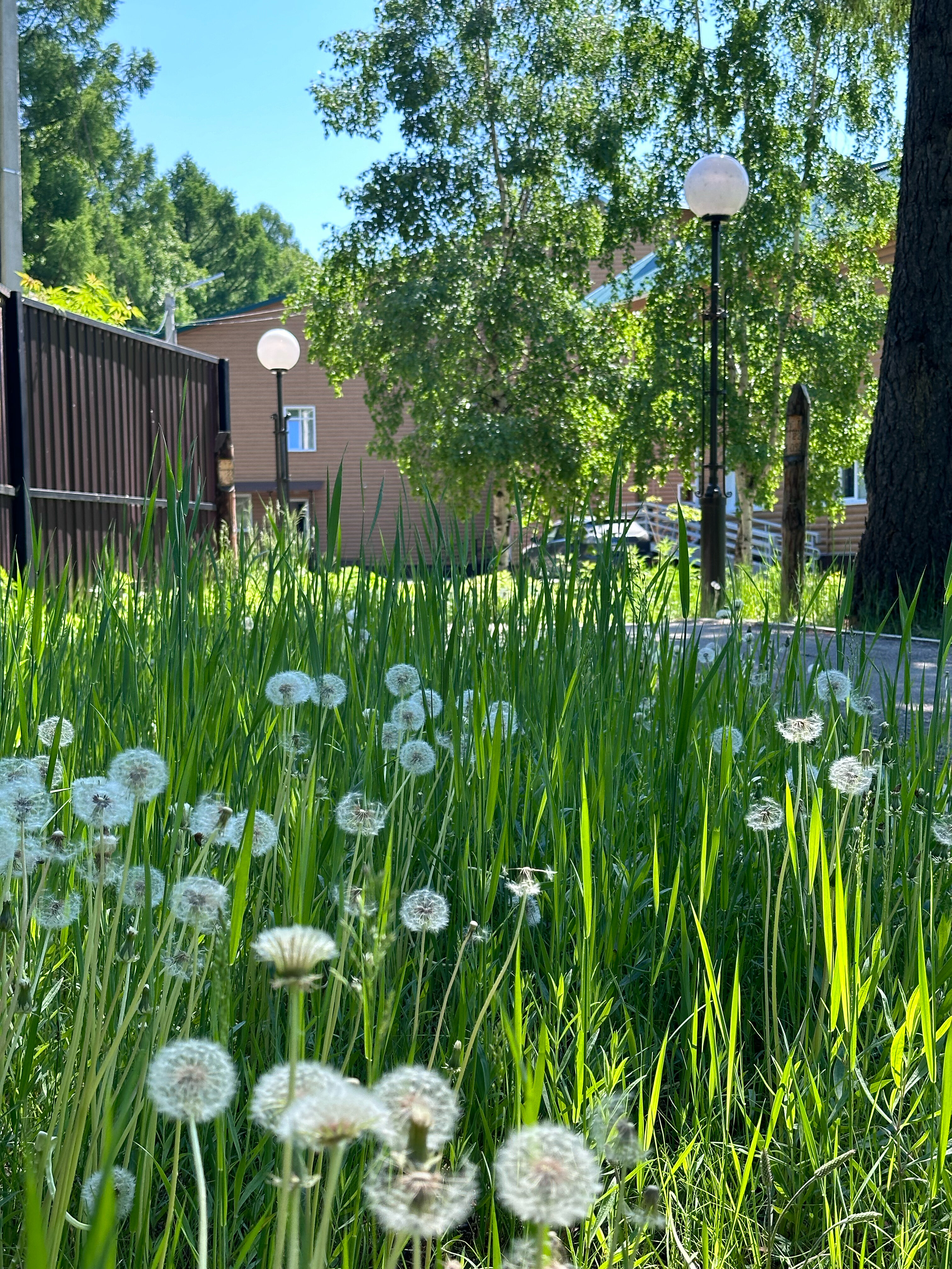 Фото Парк Сагаан Морин