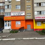 Professional (Ternovskogo Street, 214), driving school