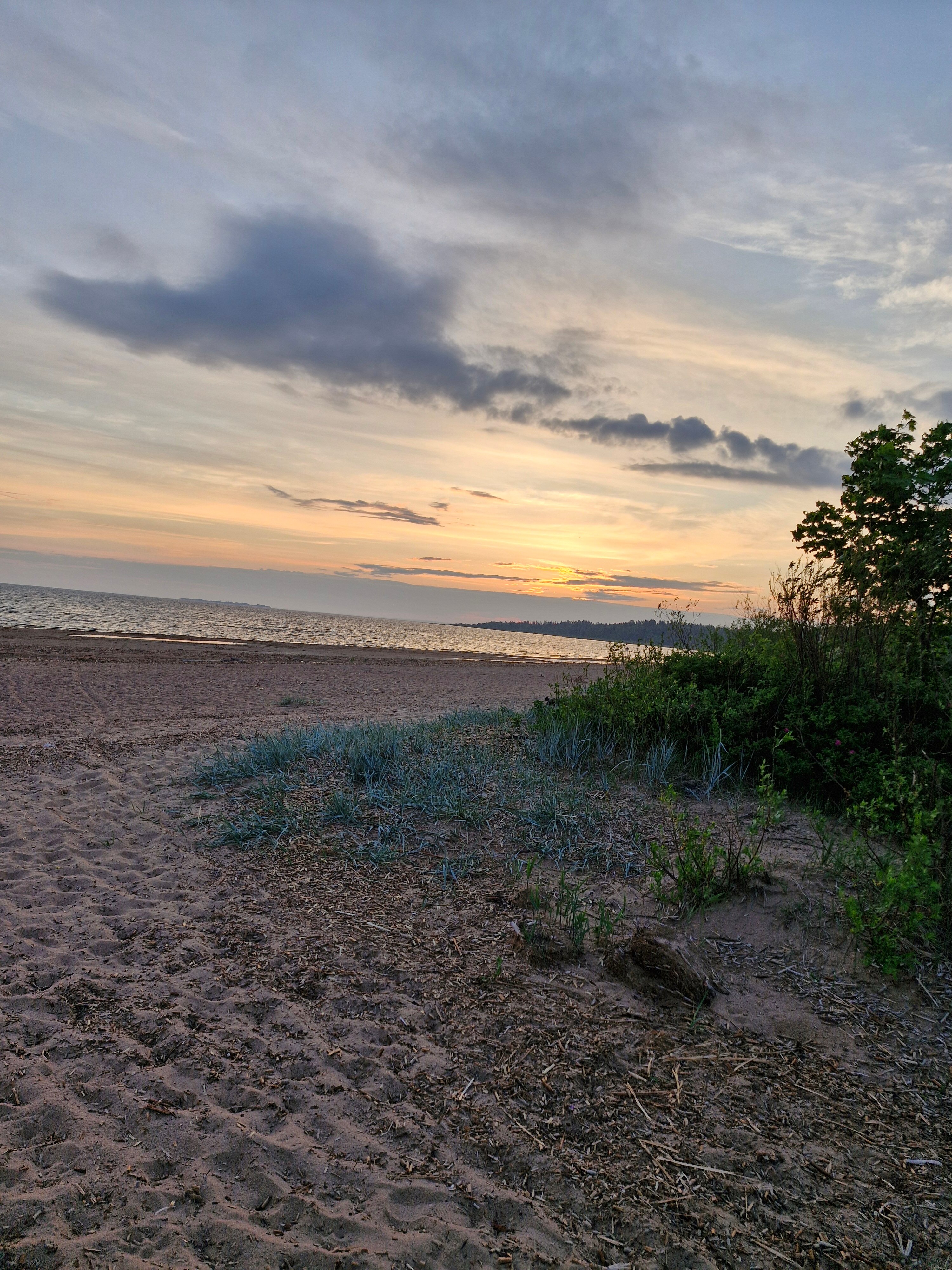 Фото Чёрное и белое