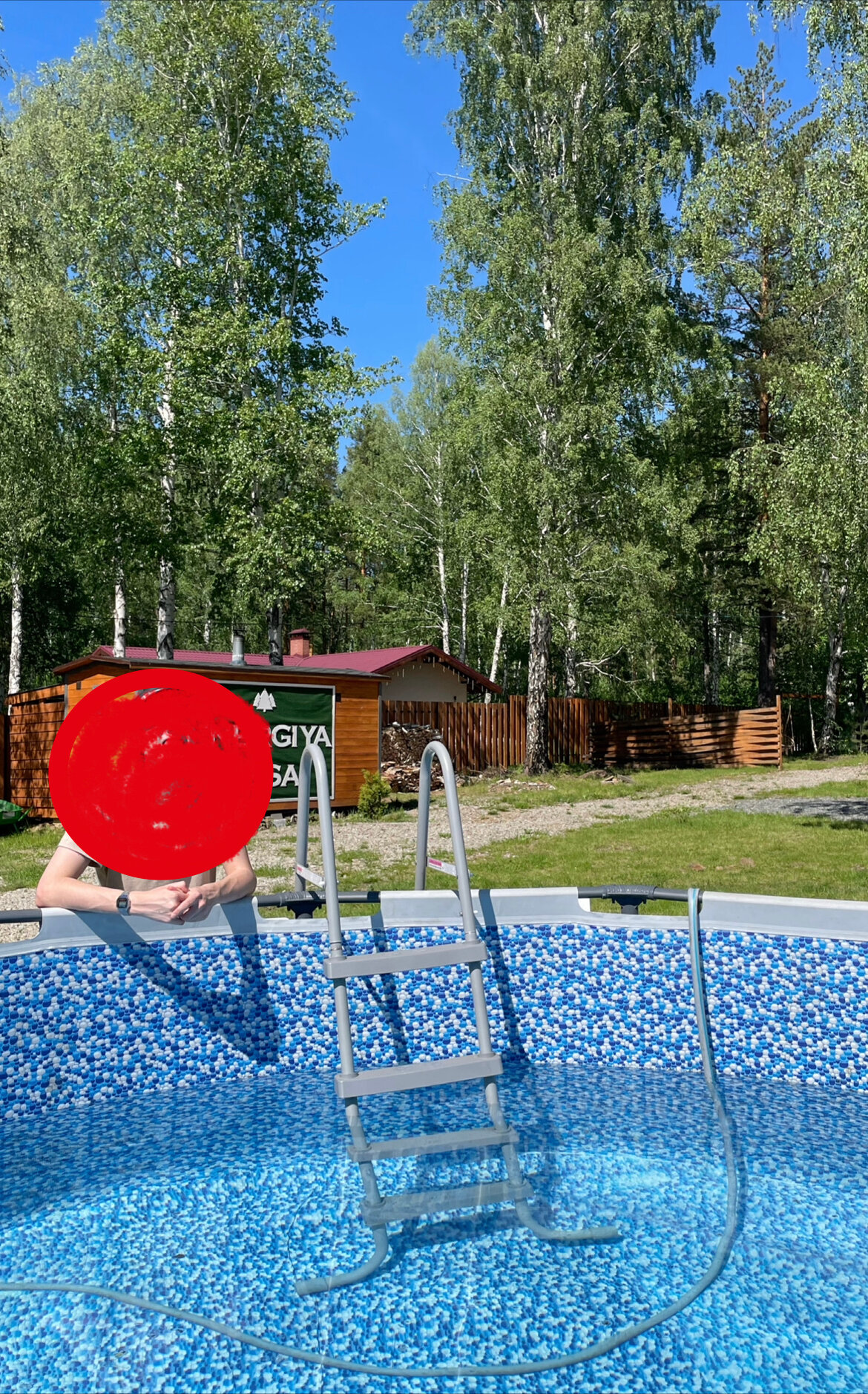 Фото Энергия леса