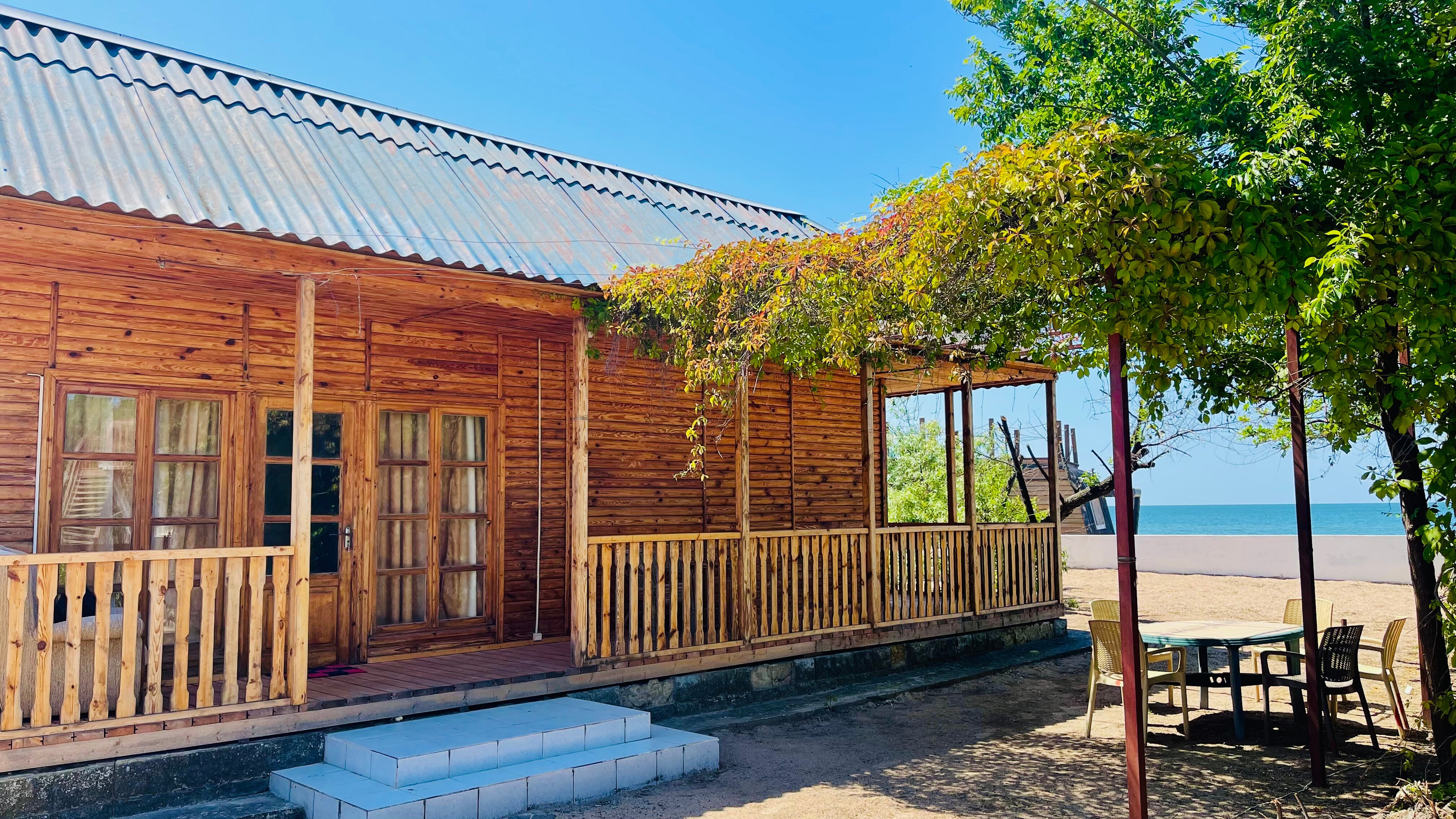 Фото Дельфин