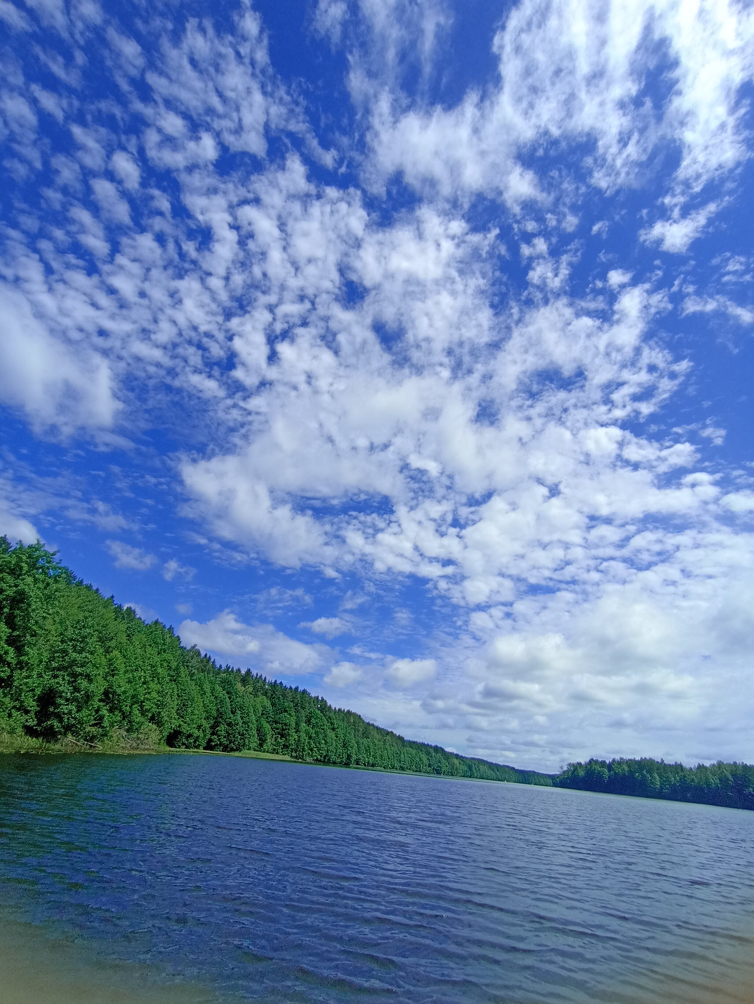 Фото Разнежье