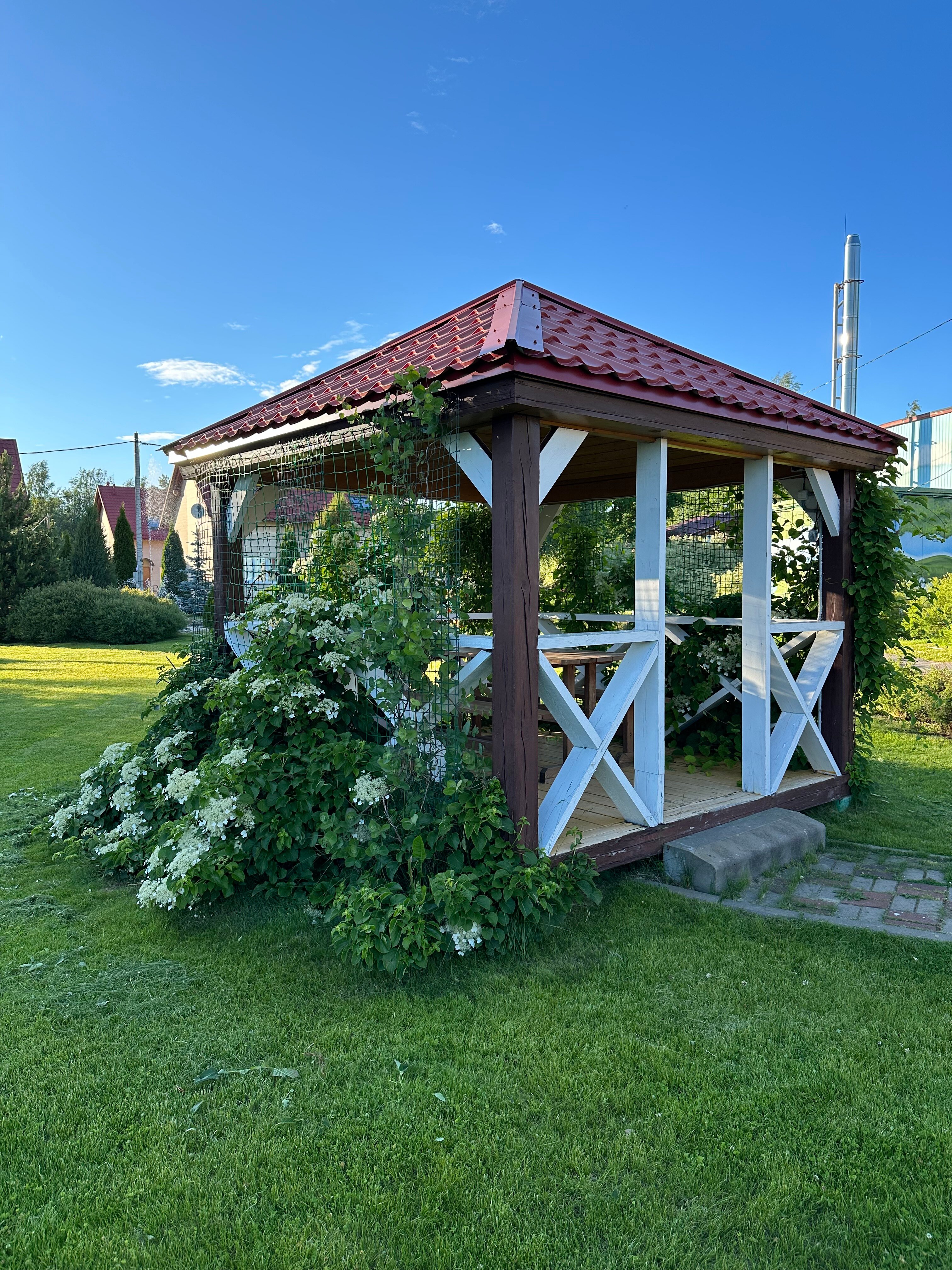 Фото Розовая дача