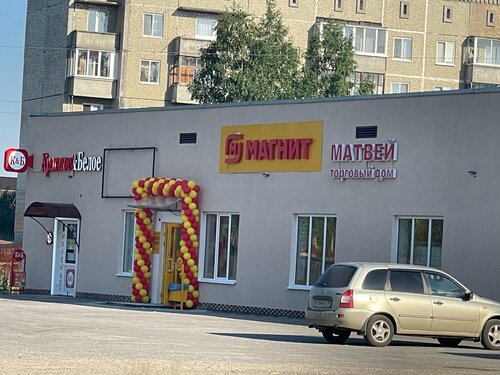 Shopping mall Торговый дом Матвей, Tomsk District, photo