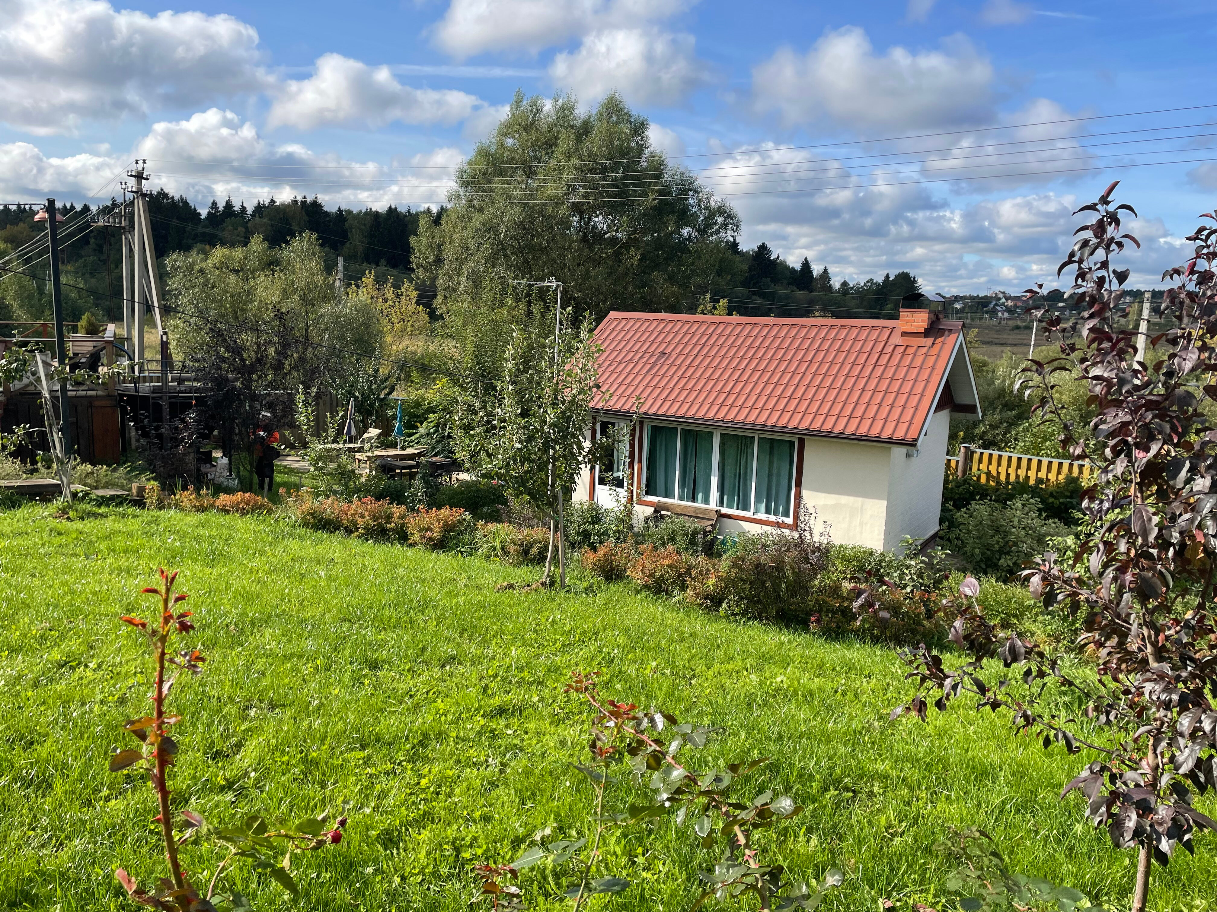 Фото Four seasons