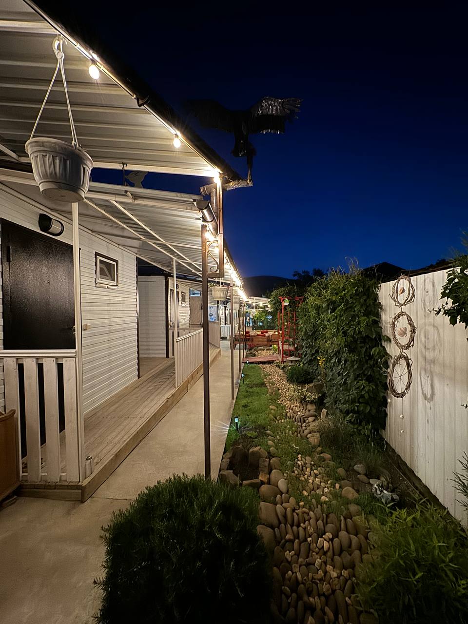 Фото Кофейное дерево