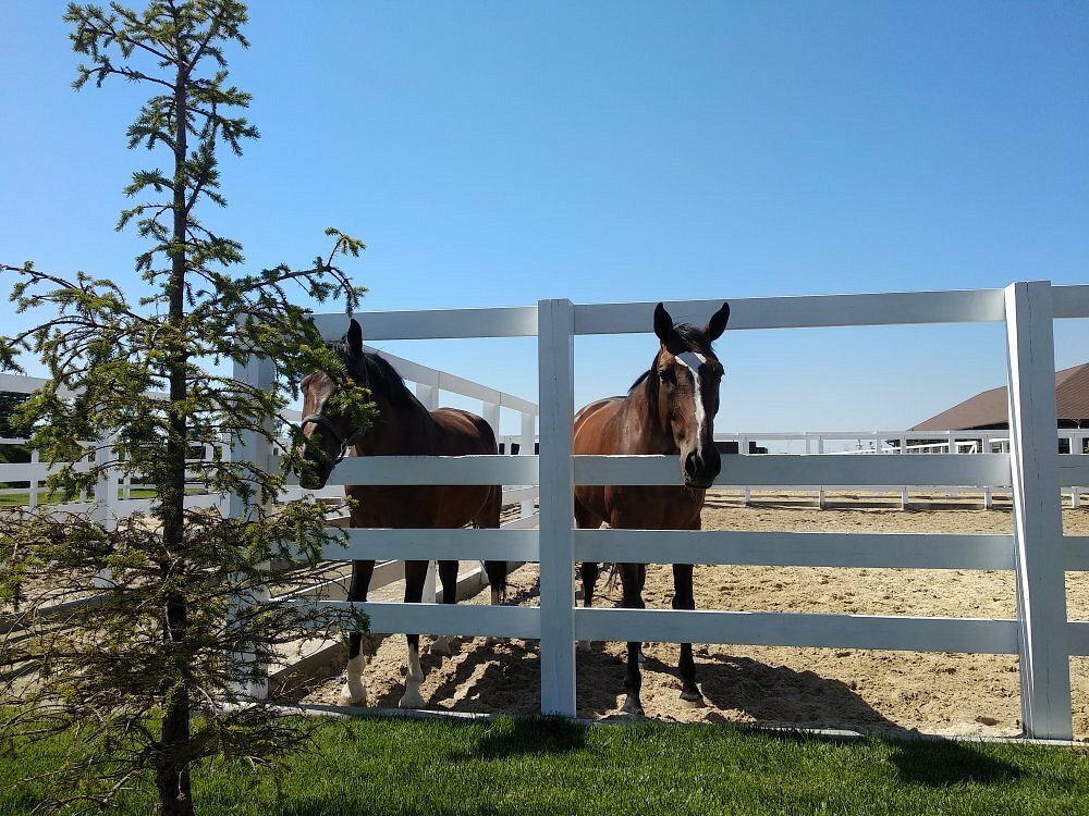 Фото Уткино Country House