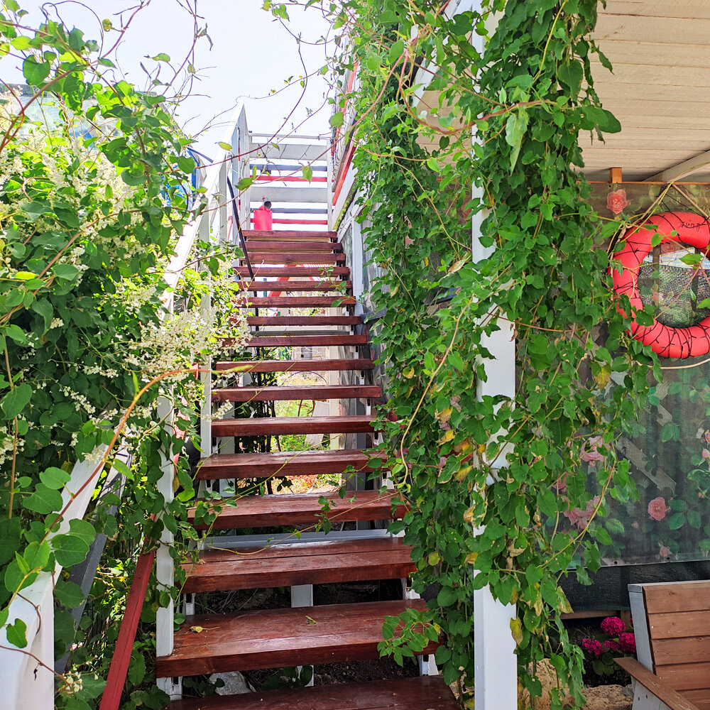 Фото Семирамида