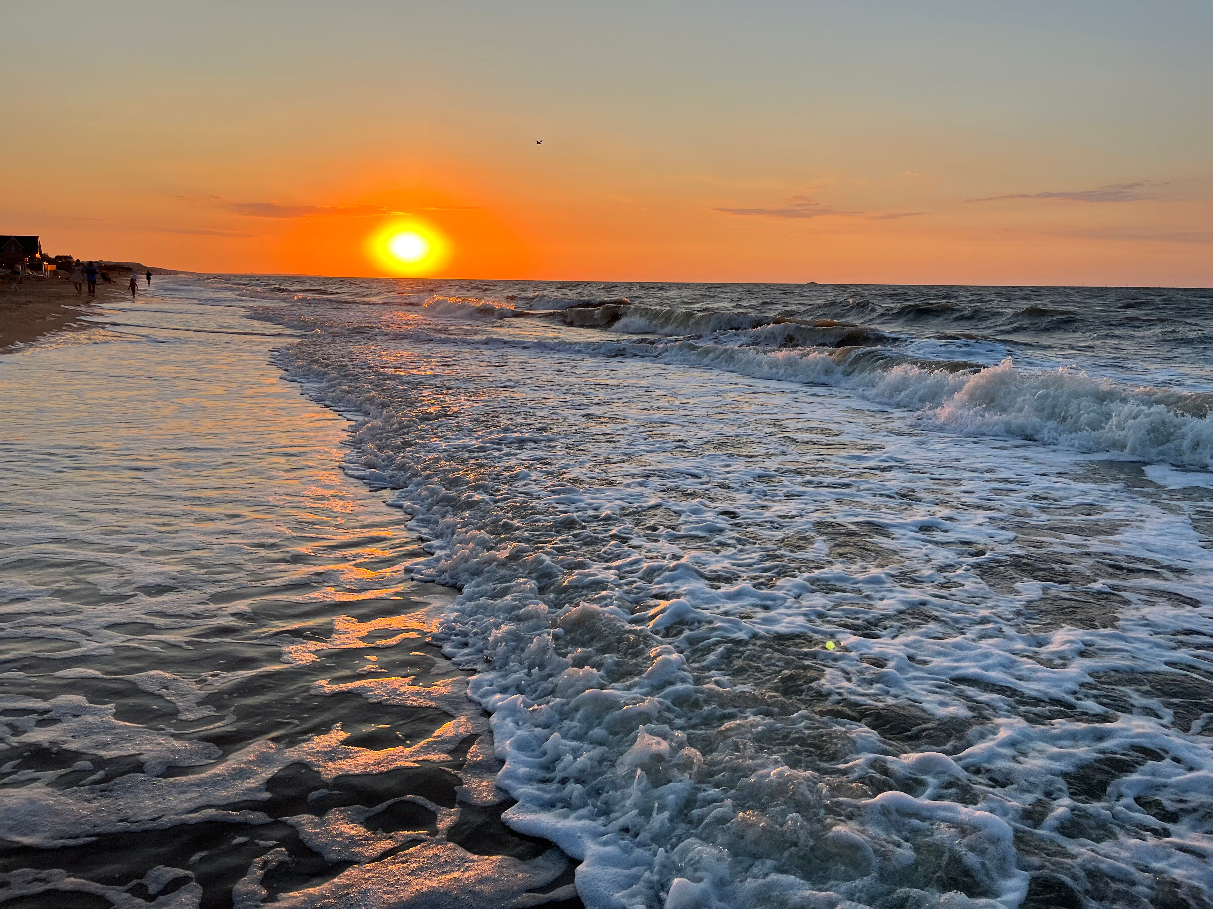 Фото Форвард