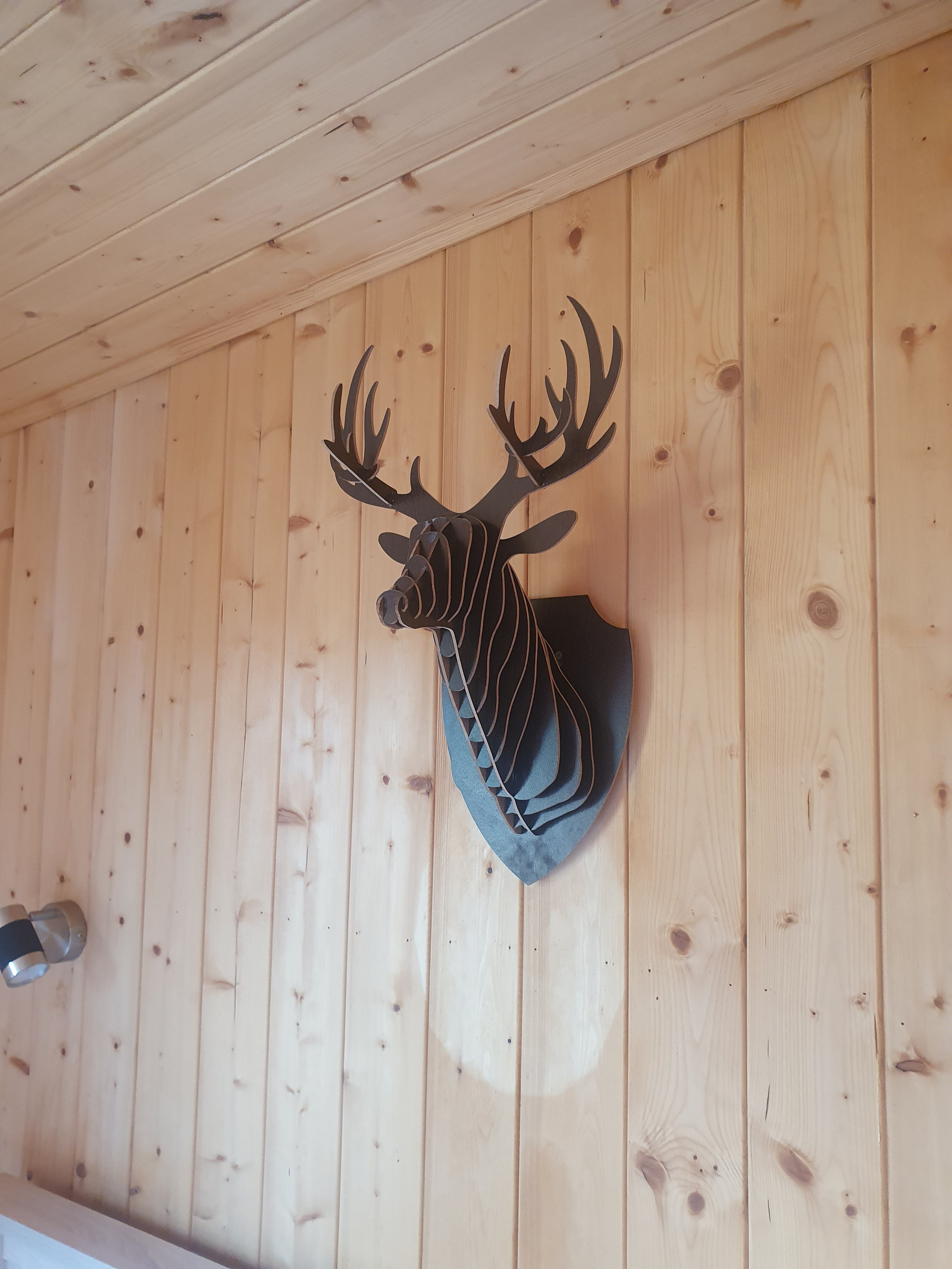 Фото Viva la villa