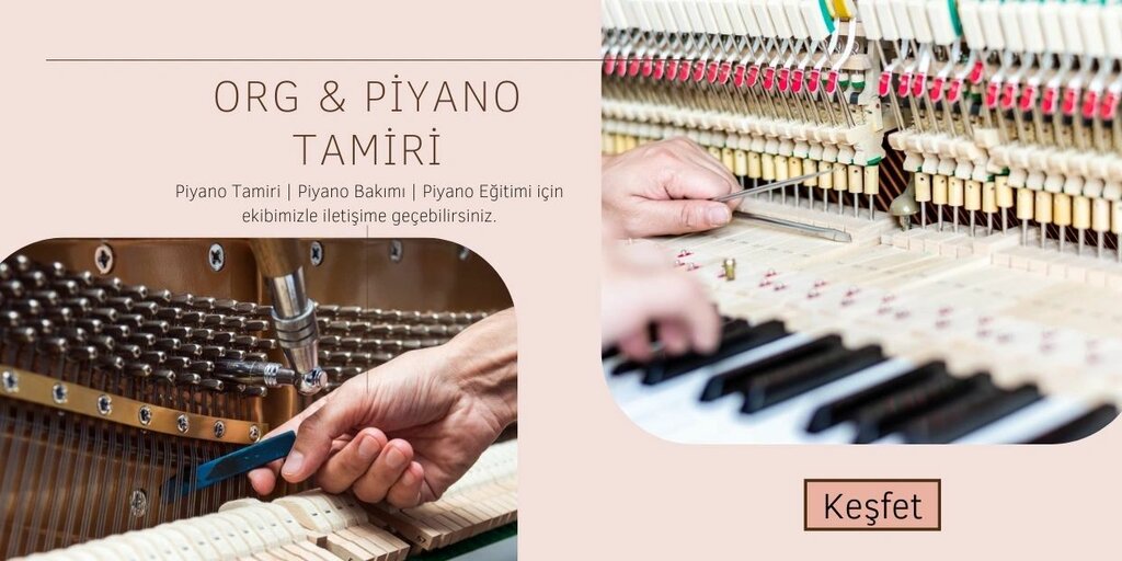 School Ocean Art Center, Samsun, photo