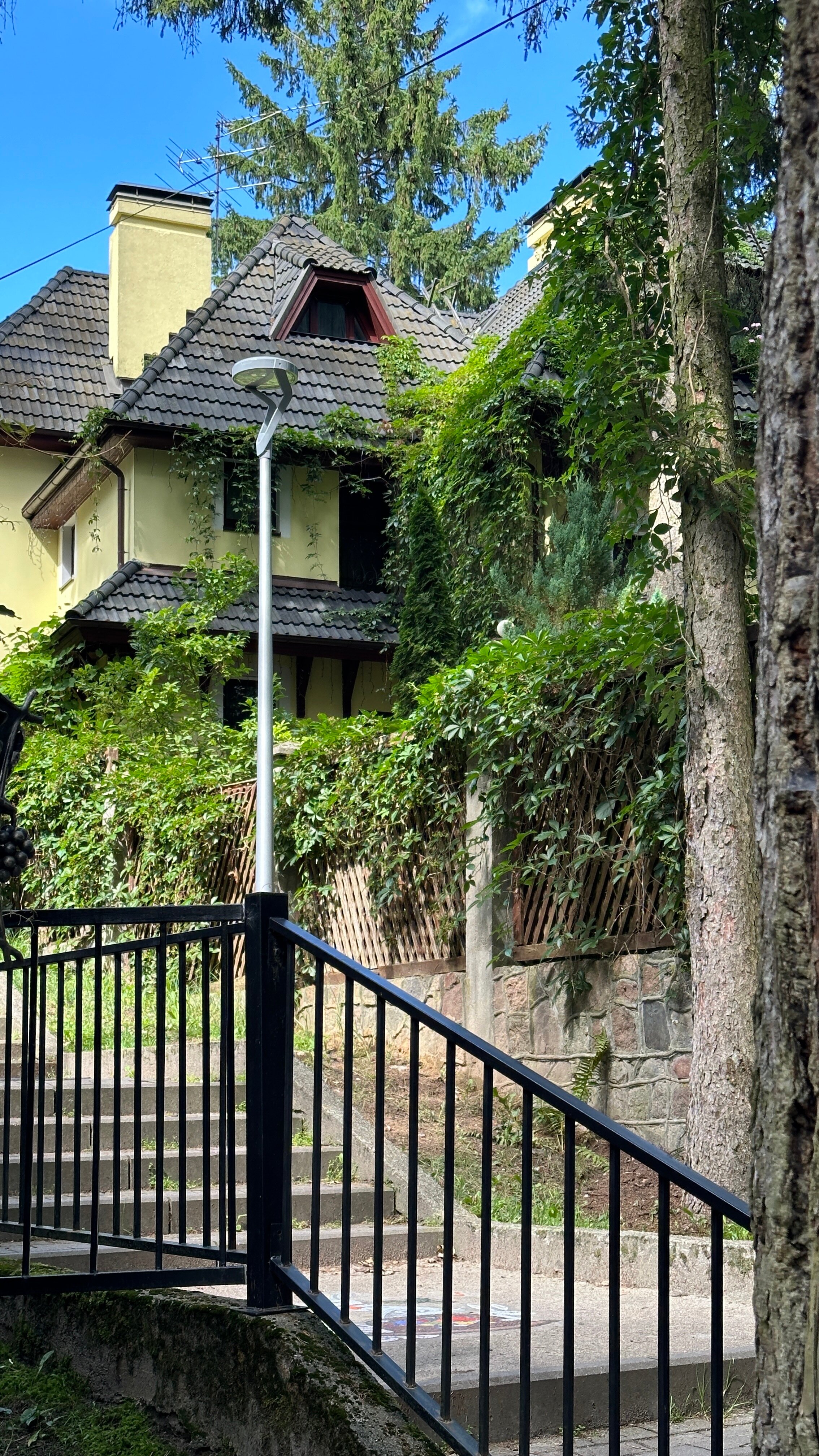 Фото Friday Center