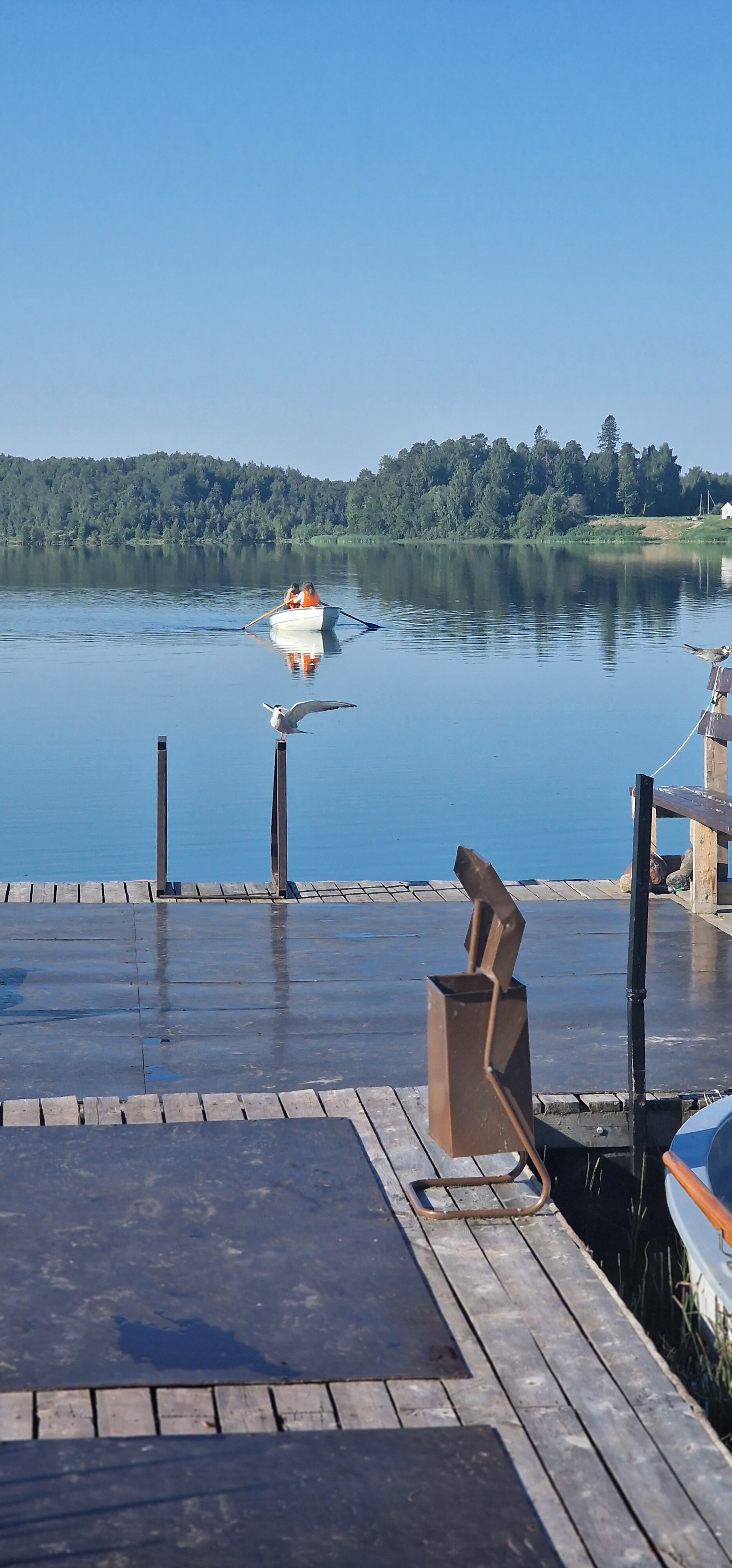 Фото Новинка