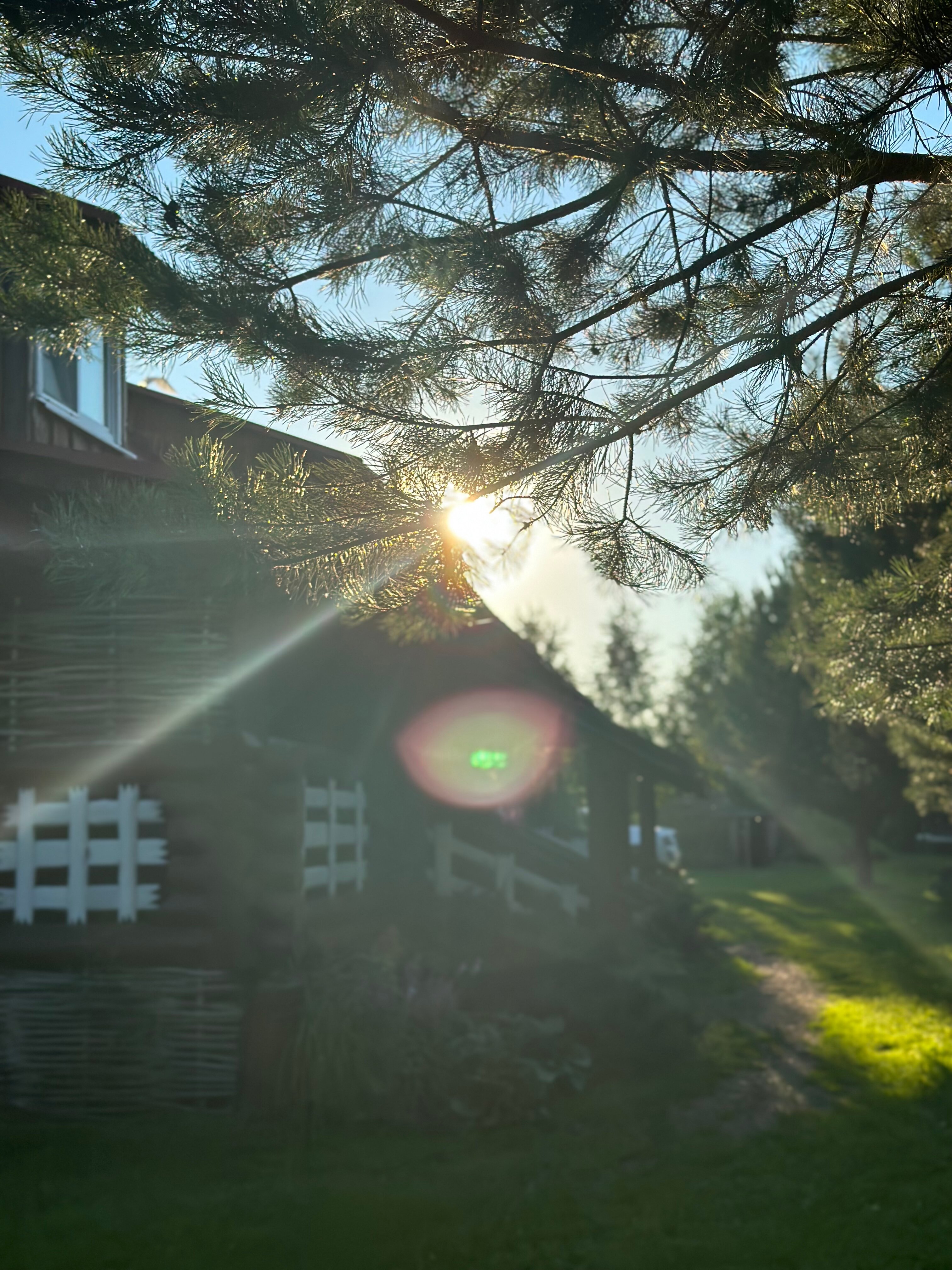 Фото Медвежье Урочище