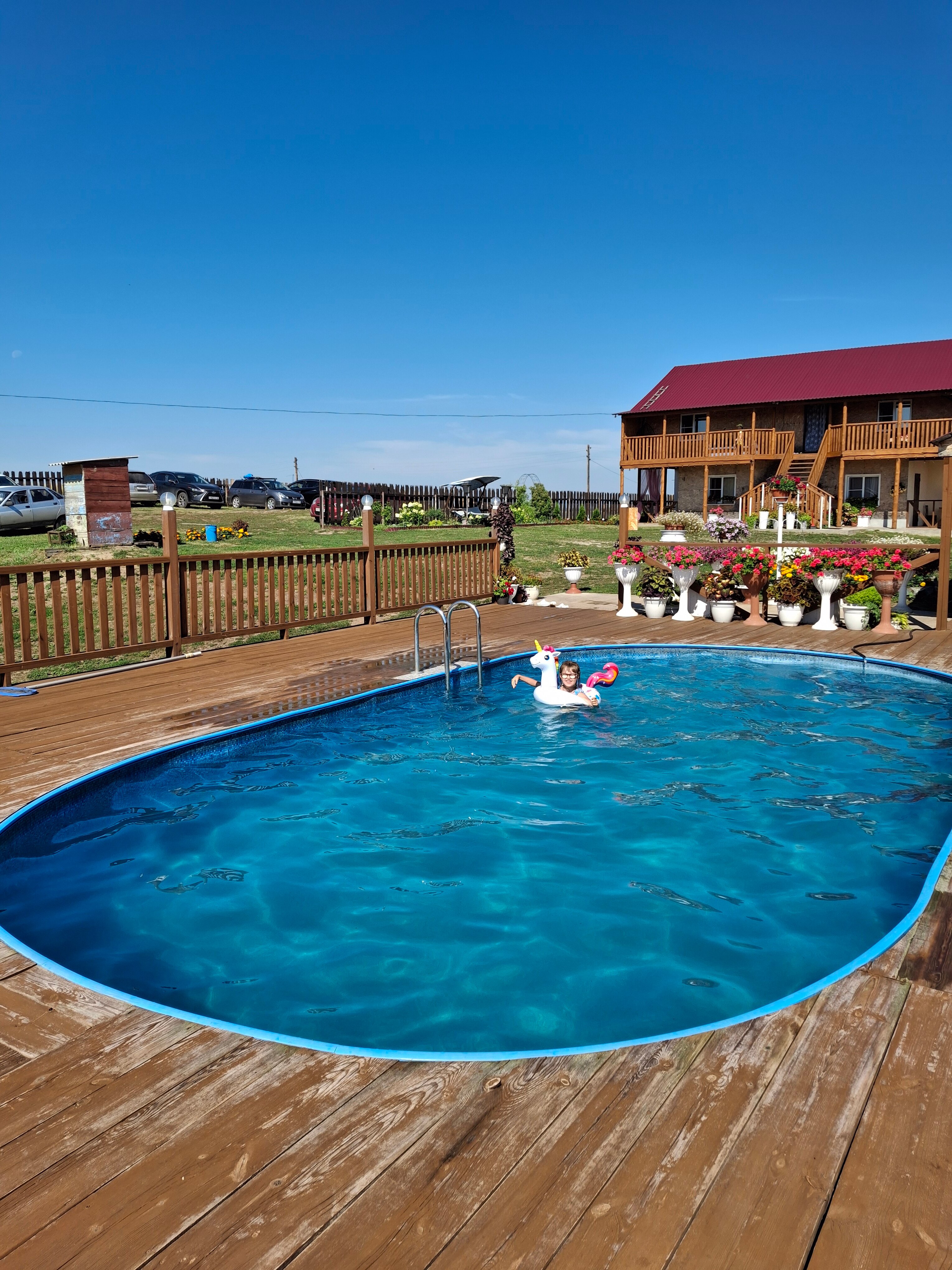 Фото Фламинго