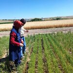 Biyoteknoloji Araştırma Merkezi (Ankara Province, Yenimahalle, Gayret Neighborhood, Martyr Cem Ersever Avenue), research institute