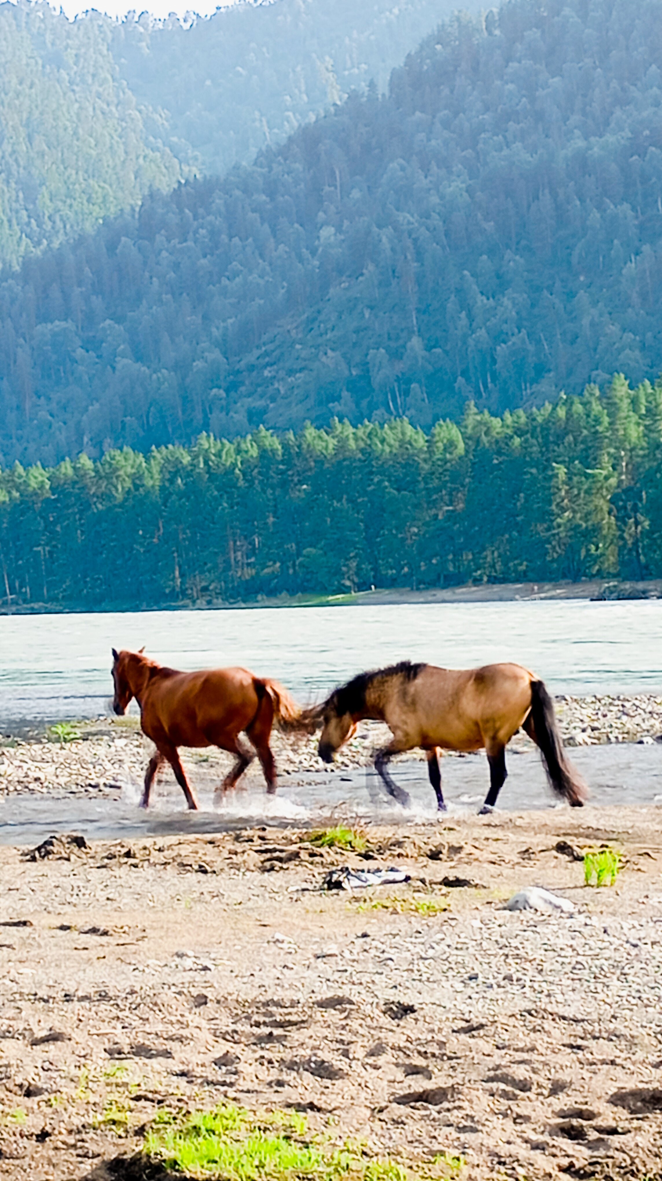 Фото Дежавю