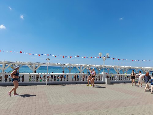 Tukli mushukni sikish