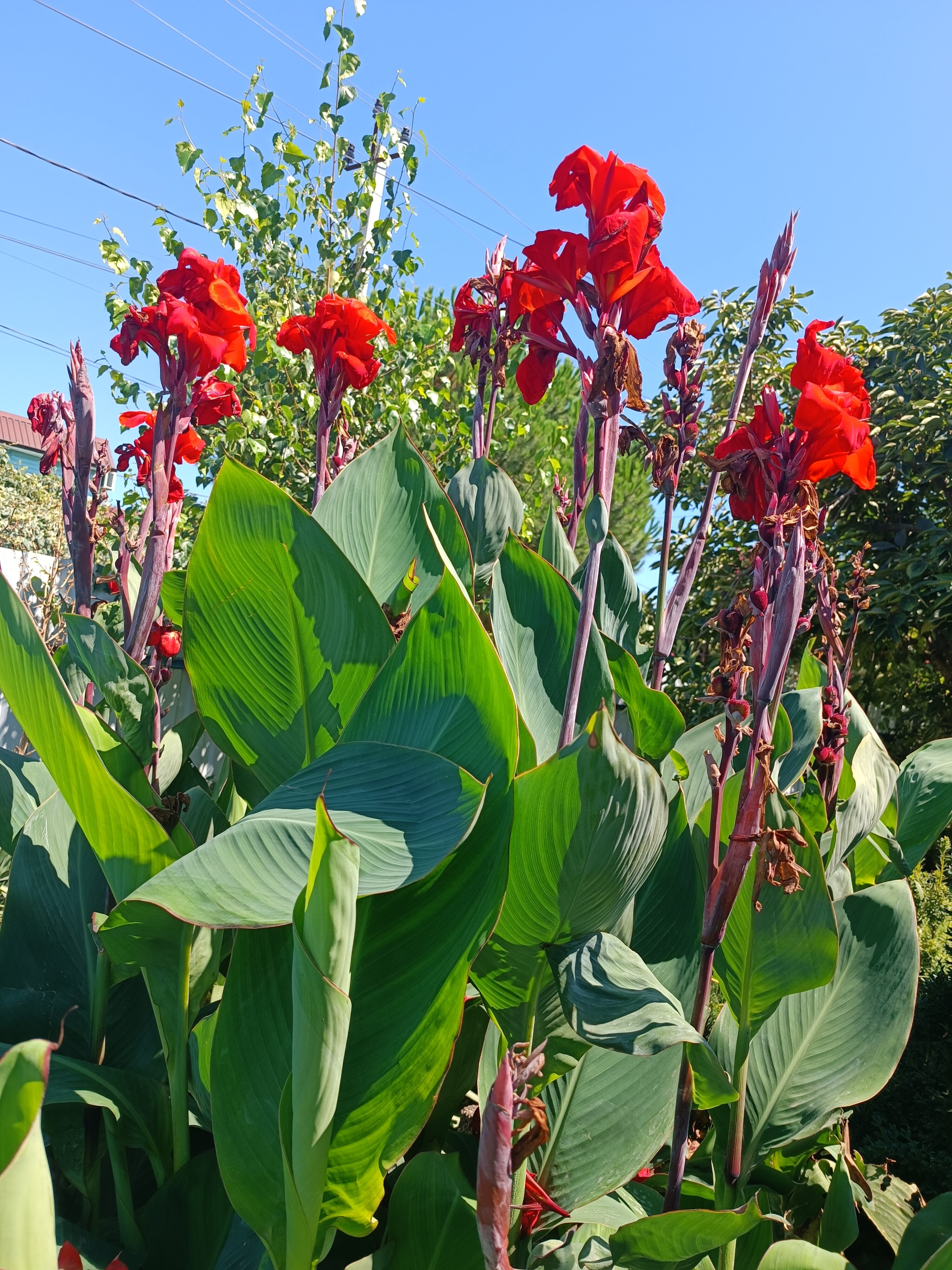 Фото Айсберг