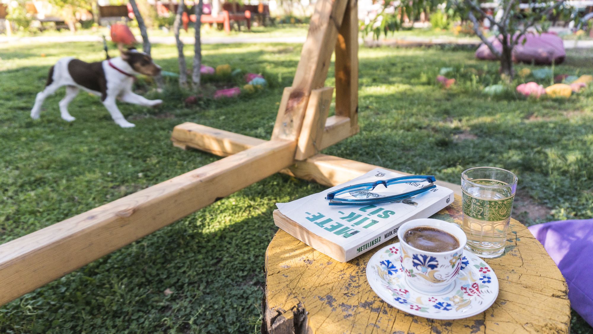 Фото Koala Bungalows