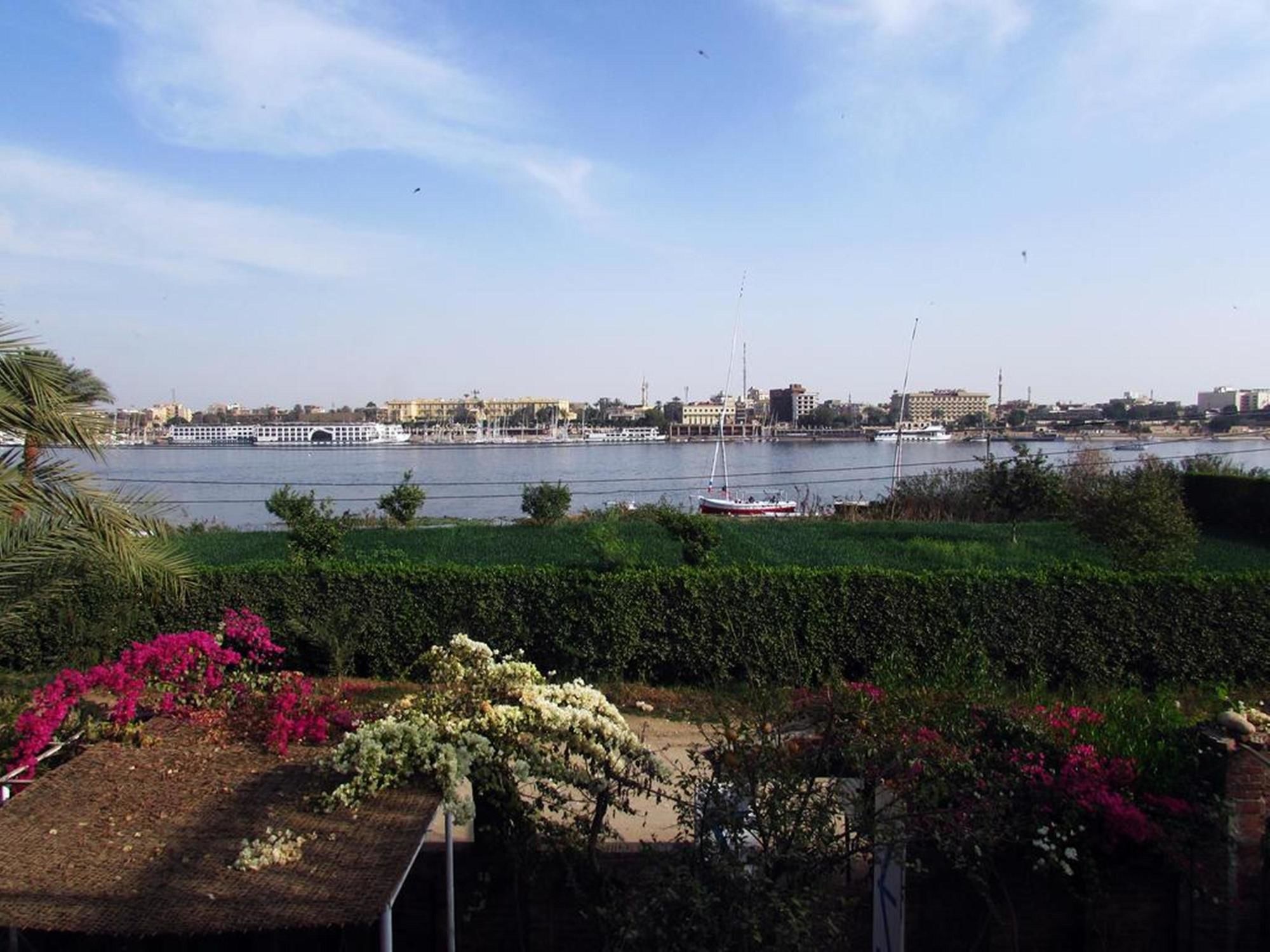Фото Luxor Guest House