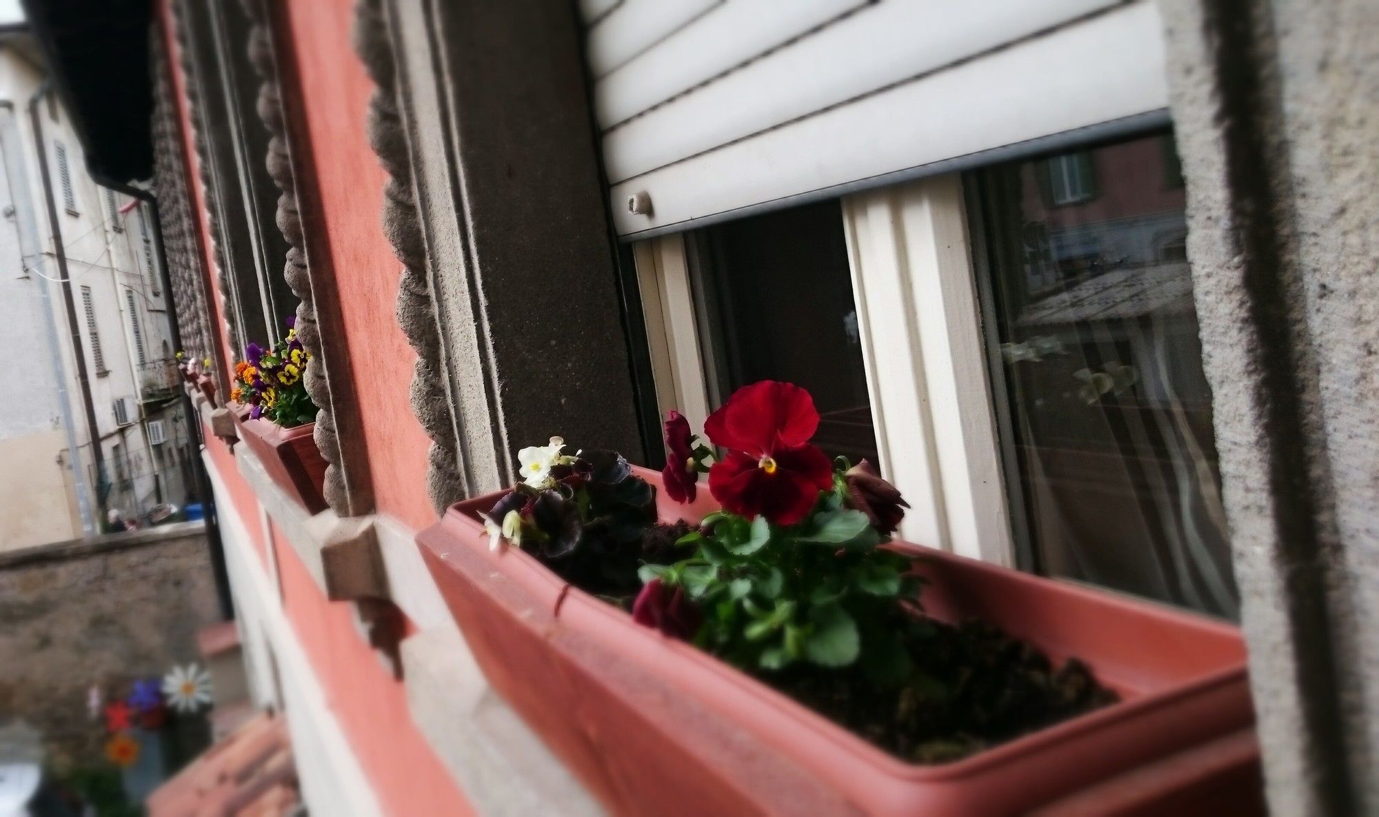 Фото PrendiTempo