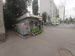 Овощи и фрукты (ulitsa imeni Ye.I. Pugachyova, 12/16), greengrocery