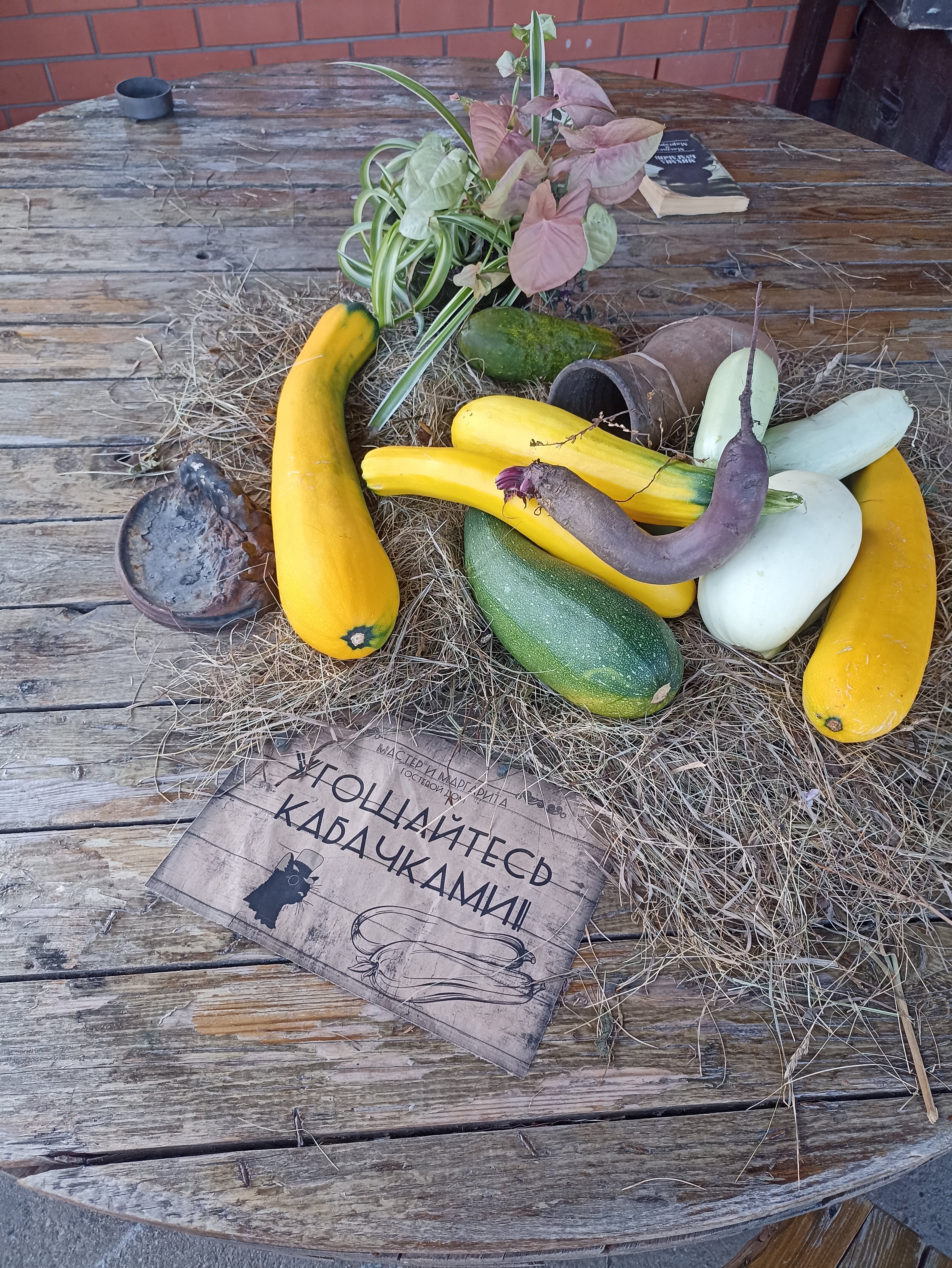 Фото Мастер и Маргарита