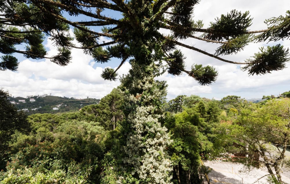 Фото Recanto das Araucarias